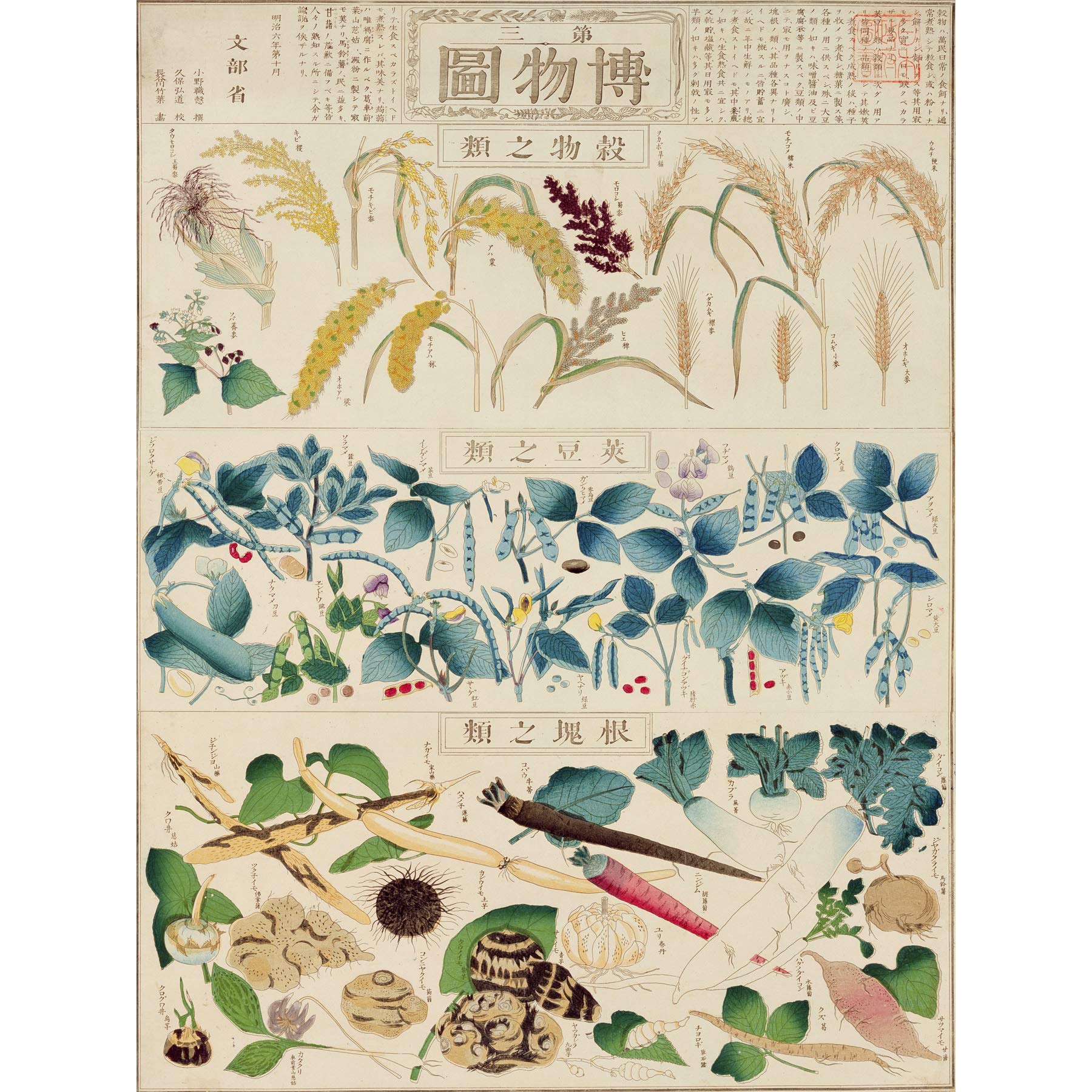 Artery8 Kato Chikusai Species of Flora Fauna Insects Japanese Premium Wall Art Canvas Print 18X24 Inch