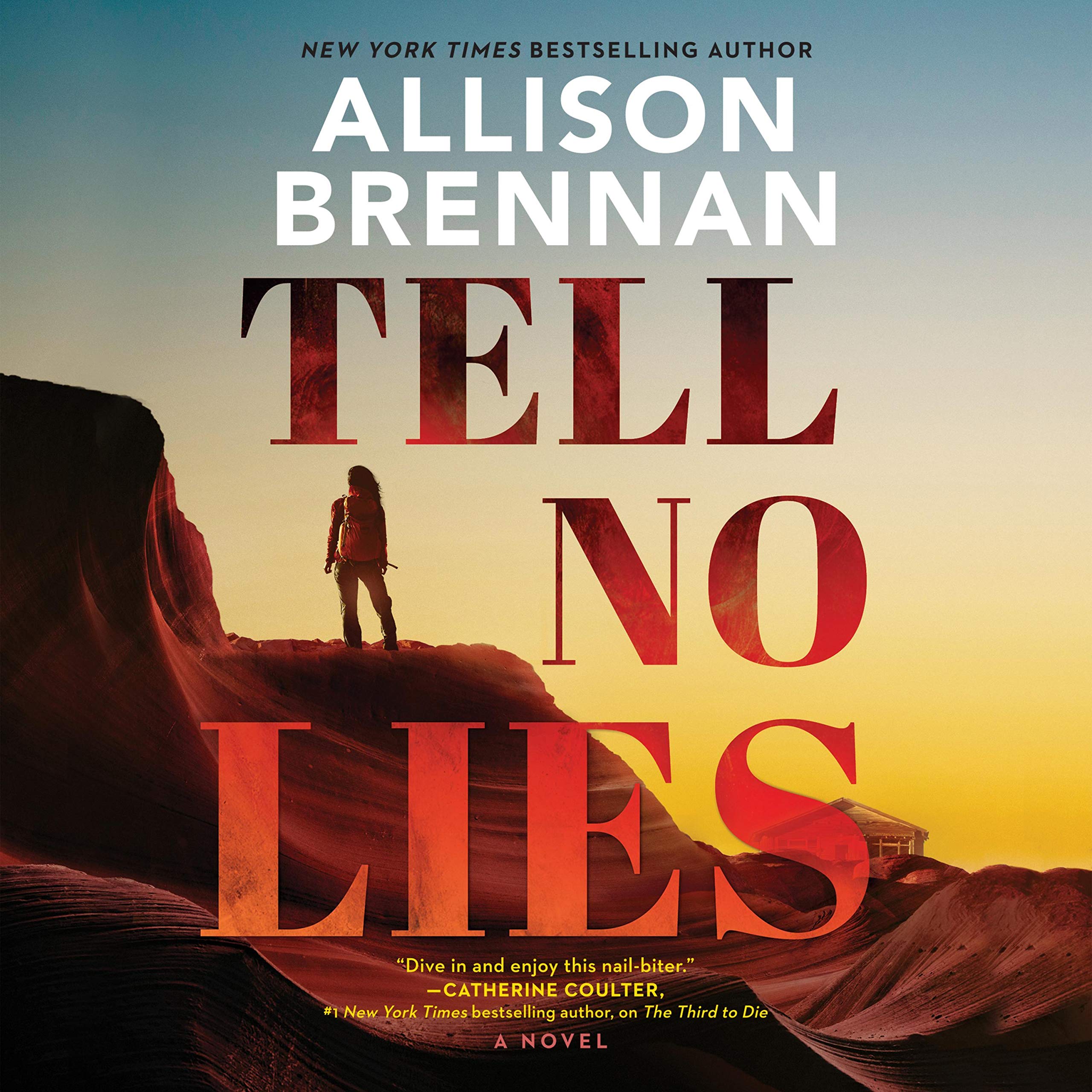 Cover art for Tell No Lies