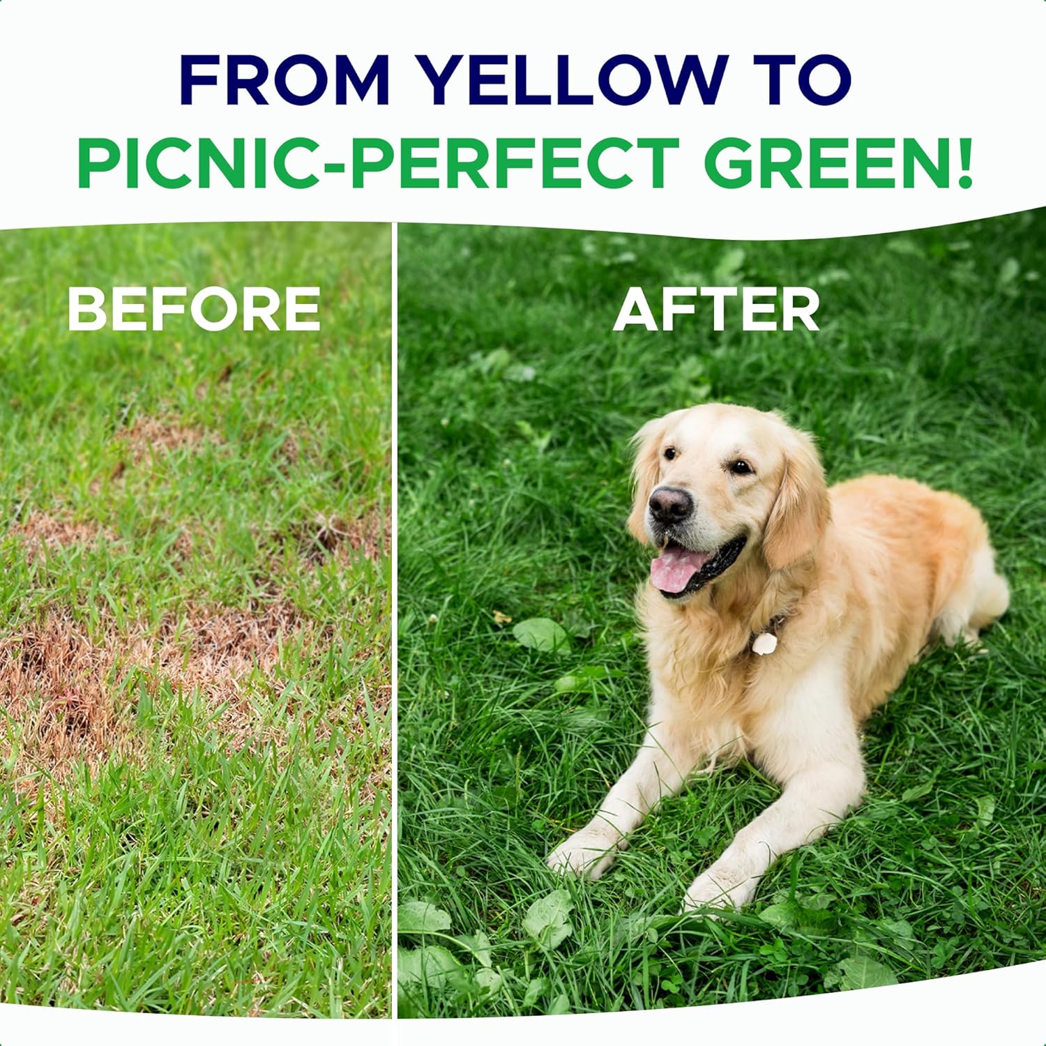 Grass Burn Spot Chews for Dogs - Pee Lawn Spot Saver - Natural Urine Neutralizer for Grass Burn Spots - Dog Pee Lawn Repair - w DL-Methionine - 120 Ct