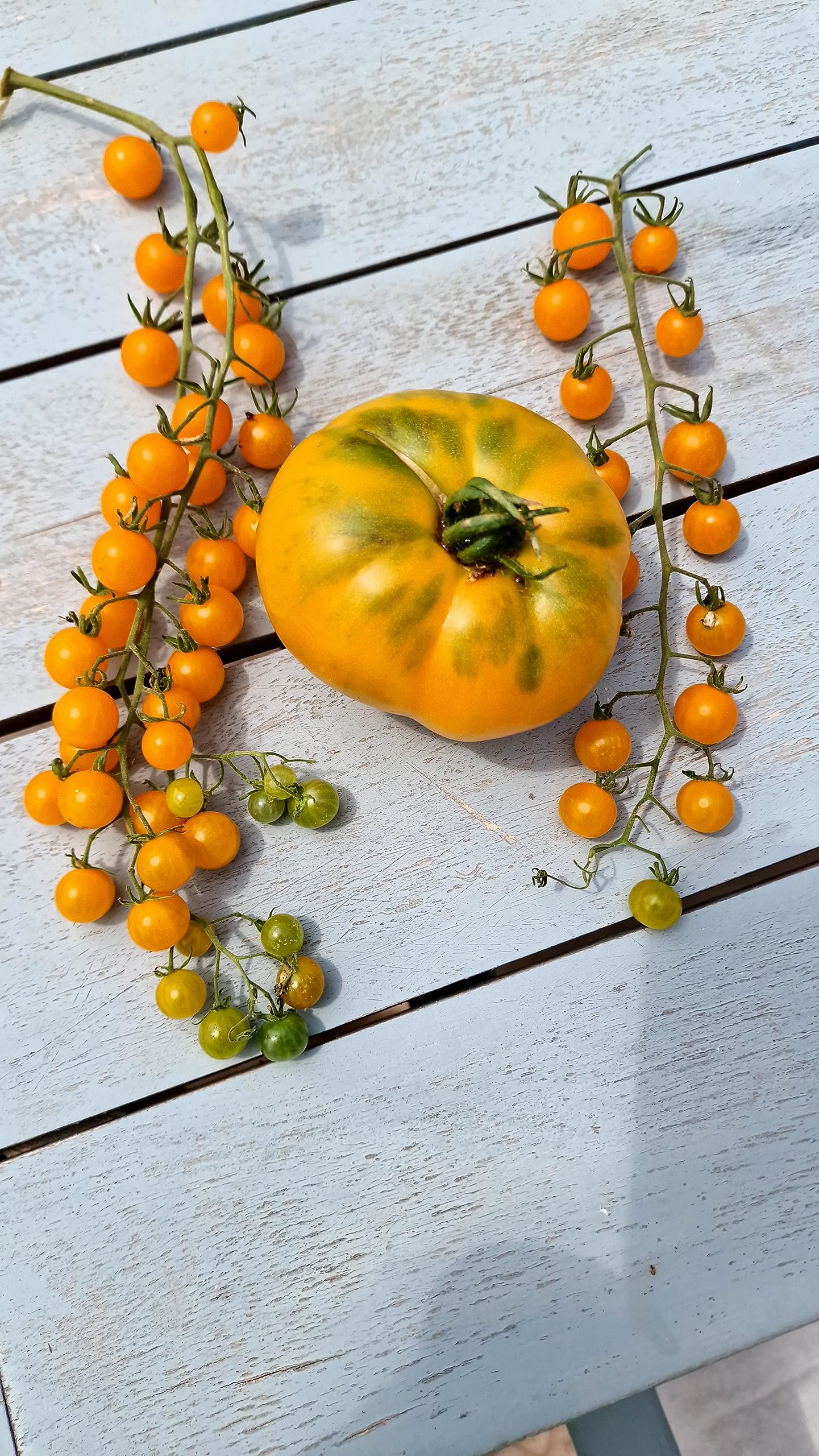 Cherry Tomato Seeds (Currant Gold Rush) — image 1