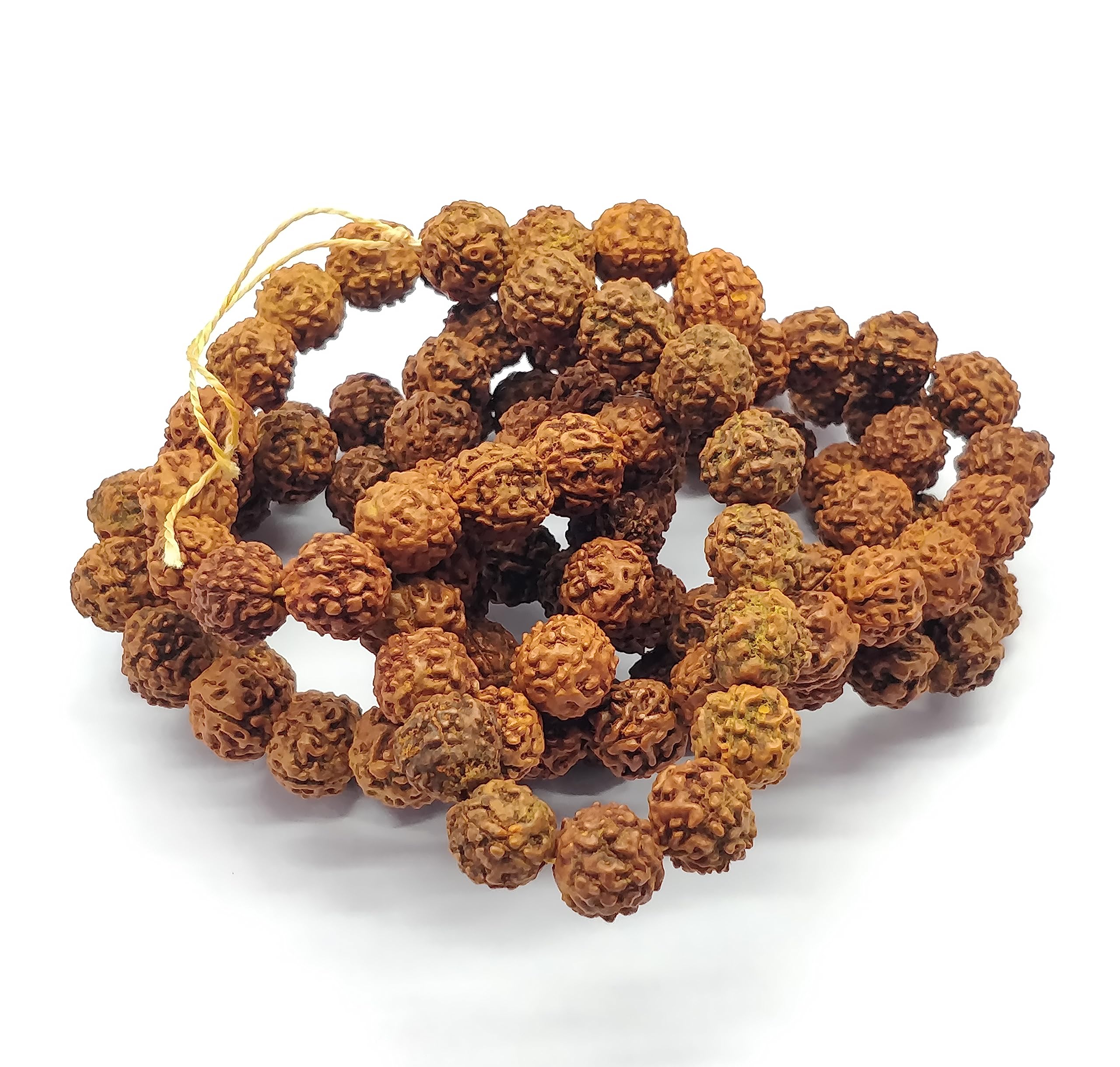 YUGNALord of Shiva Rudraksha Fancy Round Shape Beads,Natural Lord of Shiva Rudraksha Gemstone Beads,13 Inch Strand Size 10MM Beads, for Earrings Making Rare Gemstone Beads Strand Jewelry Making Strnd-RR1