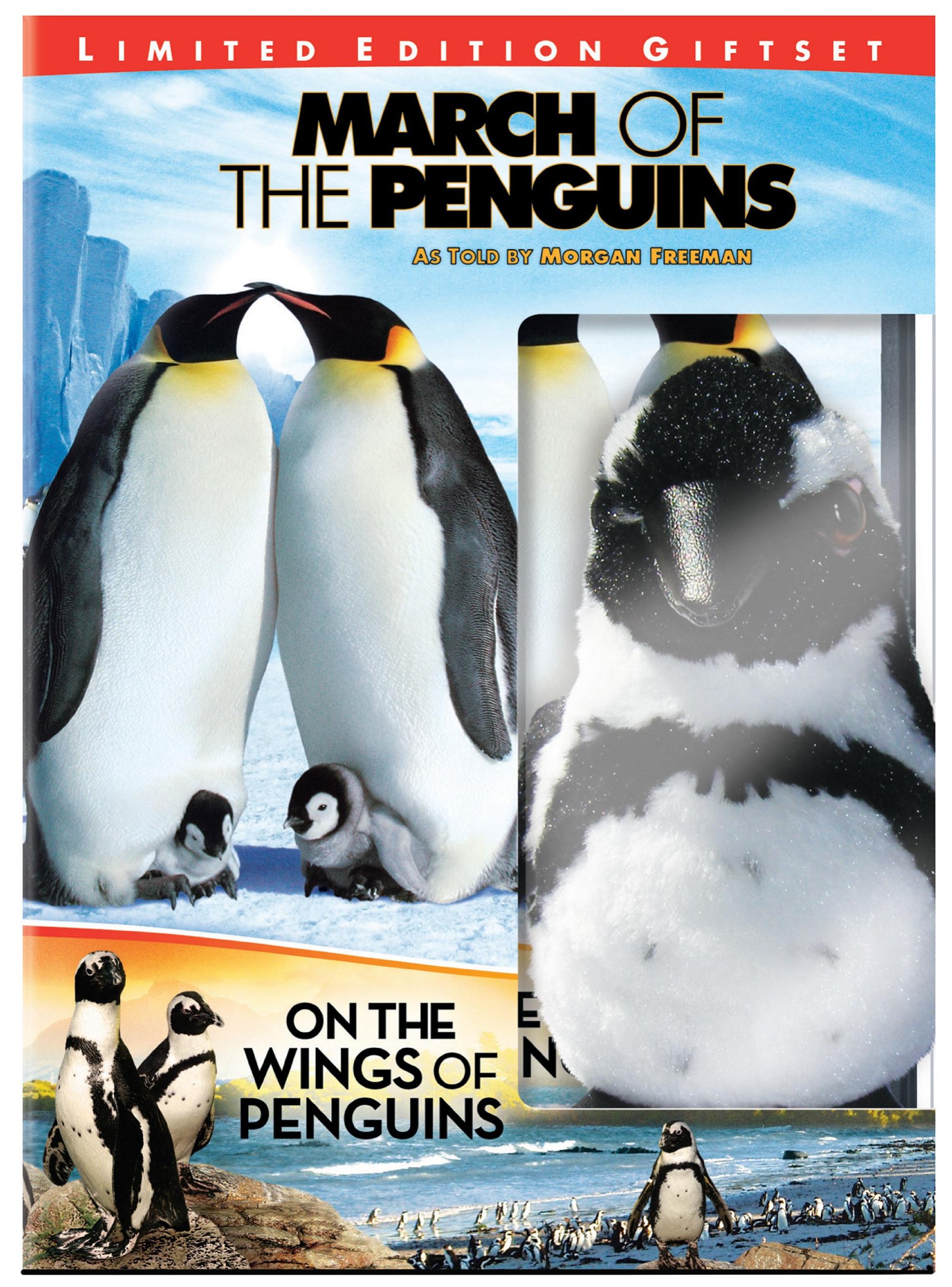その他 March of the Penguins [DVD] [Import] 511tqspjh-L._UF894,1000_QL80_.jpg