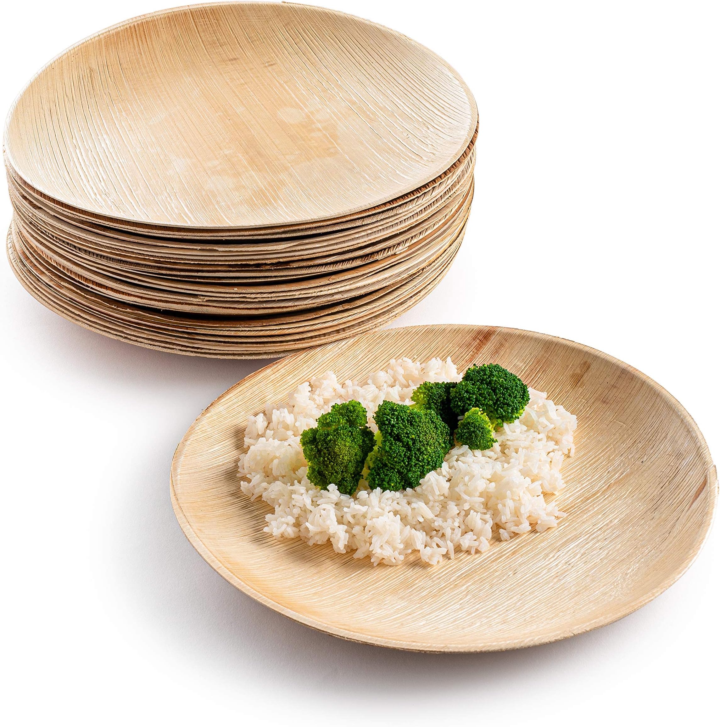 JOYFULOCEAN Paper Plates, 125 Count Compostable Disposable