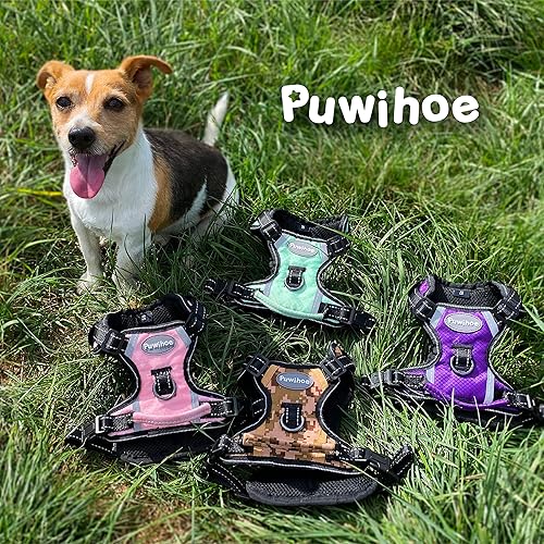 Miniatura 6 de Arnés para perro sin tirones, arnés reflectante para pasear para perro con asa de fácil control y clips delanteros y traseros, arnés de chaleco