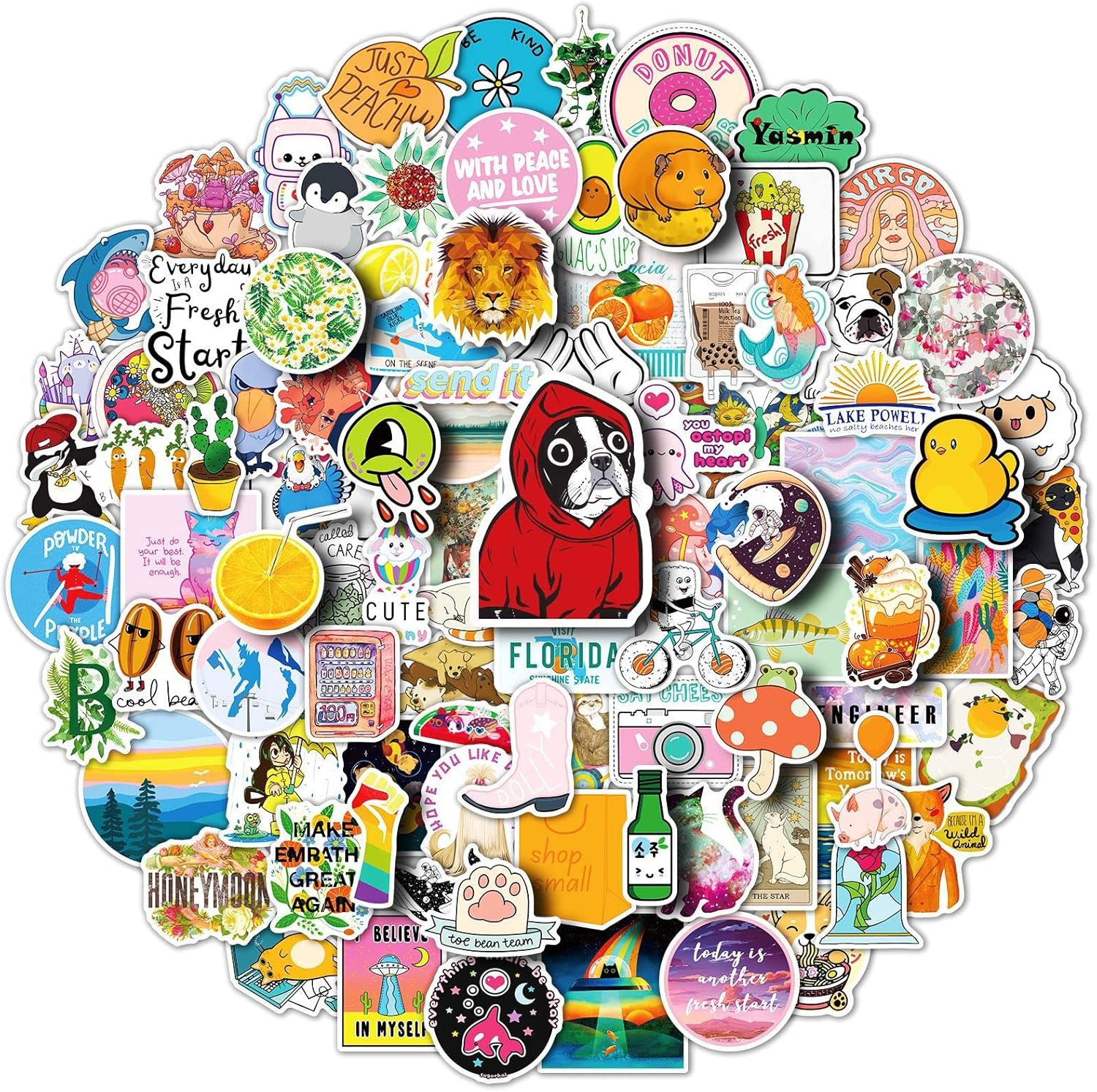 Shopee Aesthetic Stickers