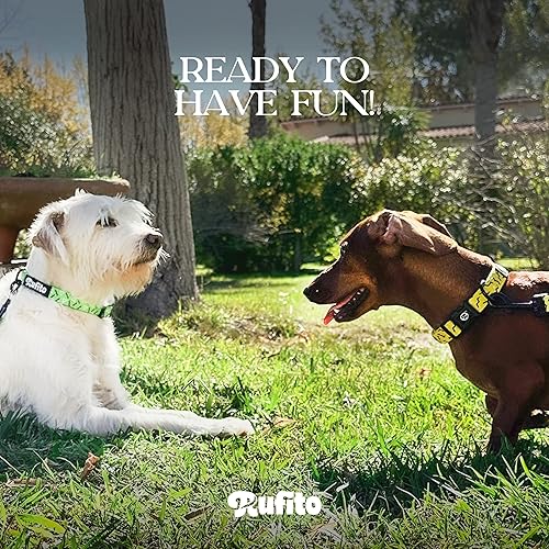 Miniatura 4 de RUFITO Collar de perro con estilo - Amarillo Tamaño Grande  Collar ajustable con hebilla de liberación rápida para cachorros  Collar de perro para