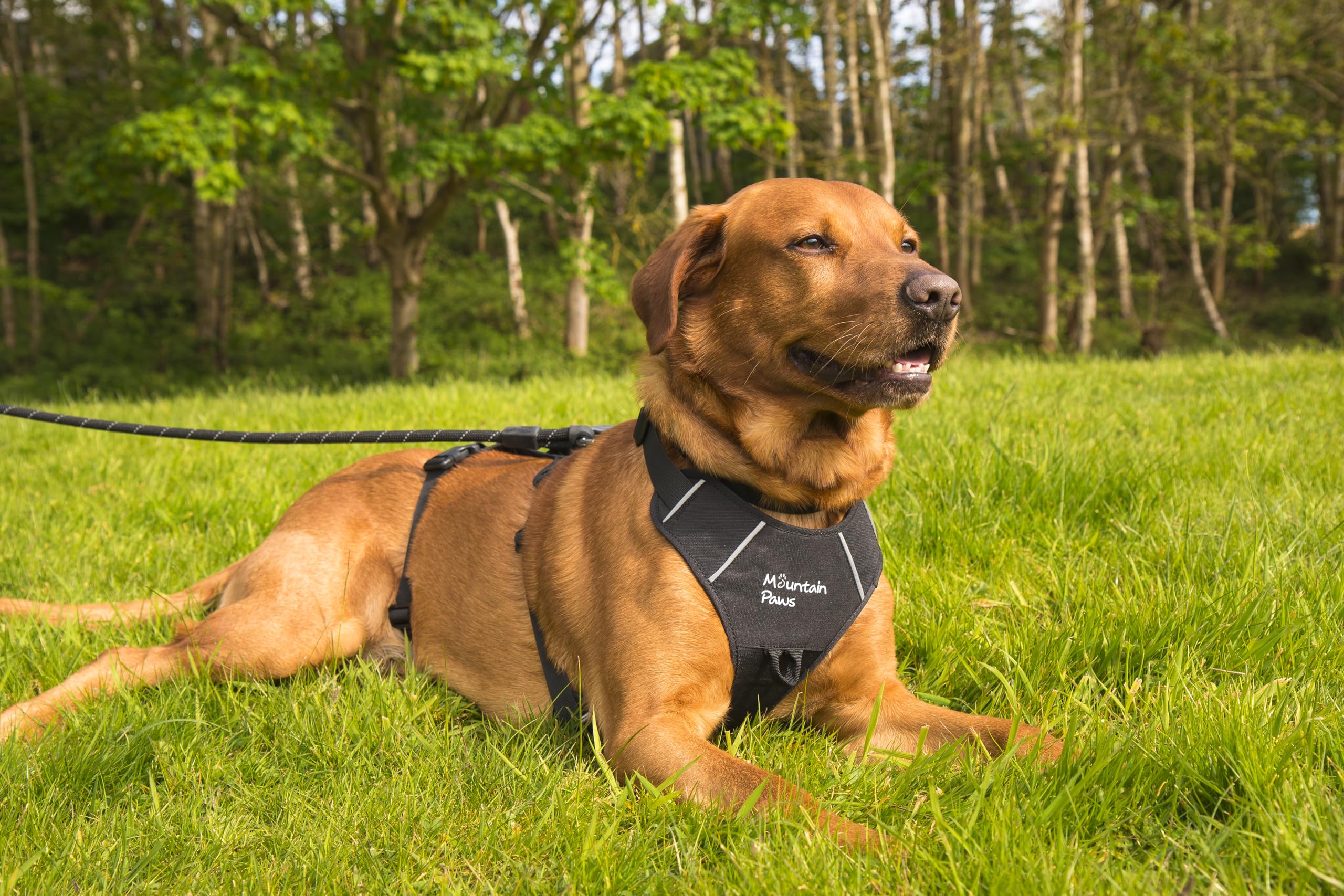 Mountain Paws Arnés de Perro de 3 Correas | para Adaptarse a tamaños de Pecho de 46 a 108 cm, con asa Central y Ribetes Reflectantes