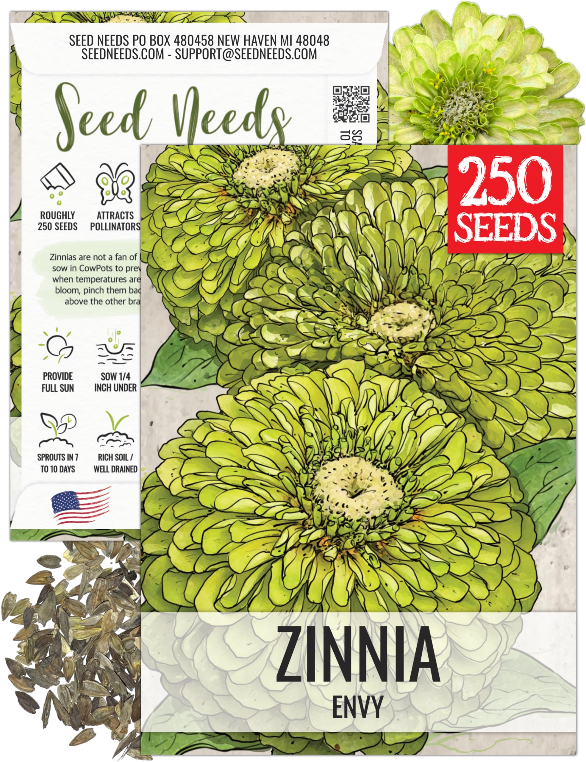 Amazon.com : Seed Needs Lime Green Envy Zinnia Seeds for Planting