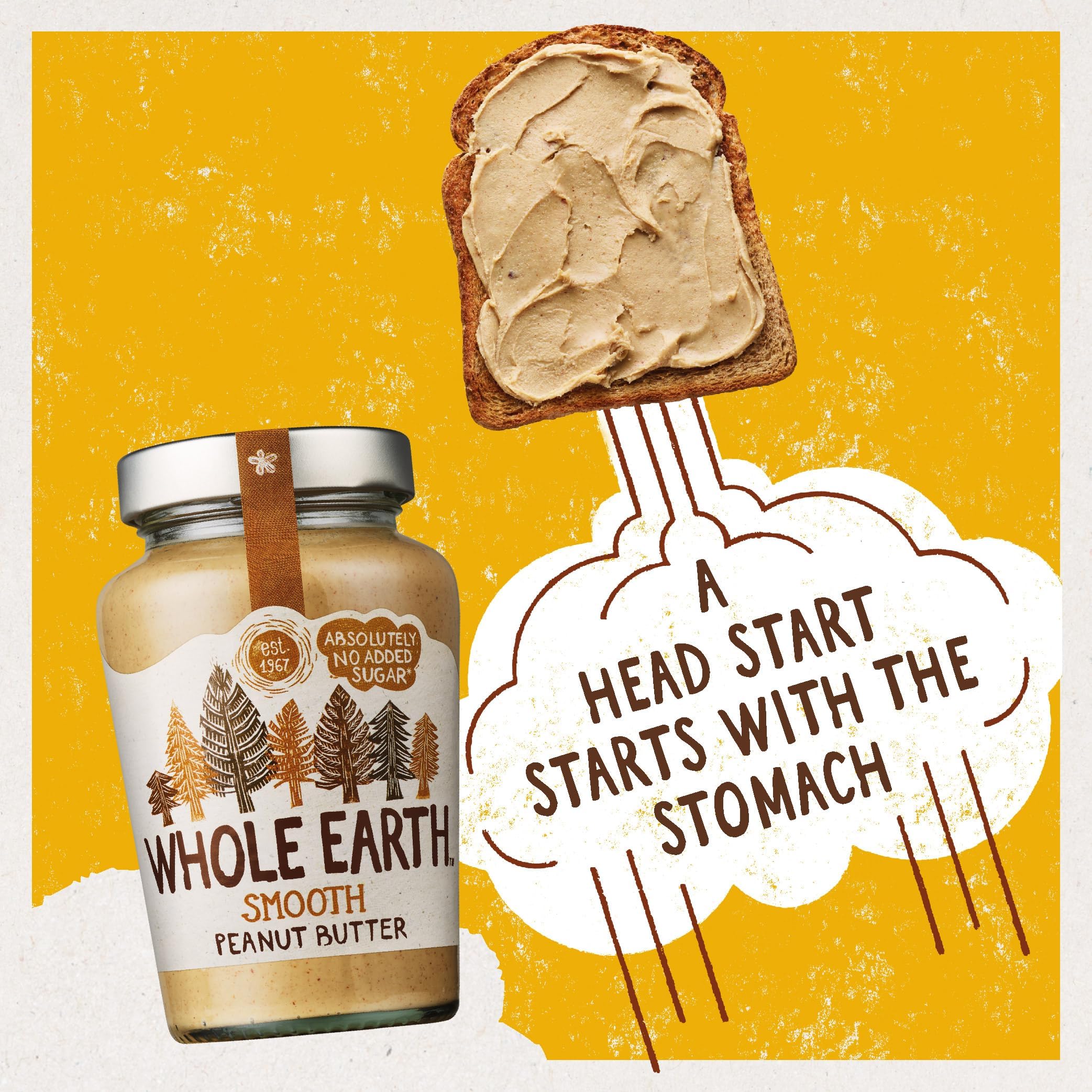 Whole Earth Smooth Peanut Butter 454 g (order 6 for trade outer)