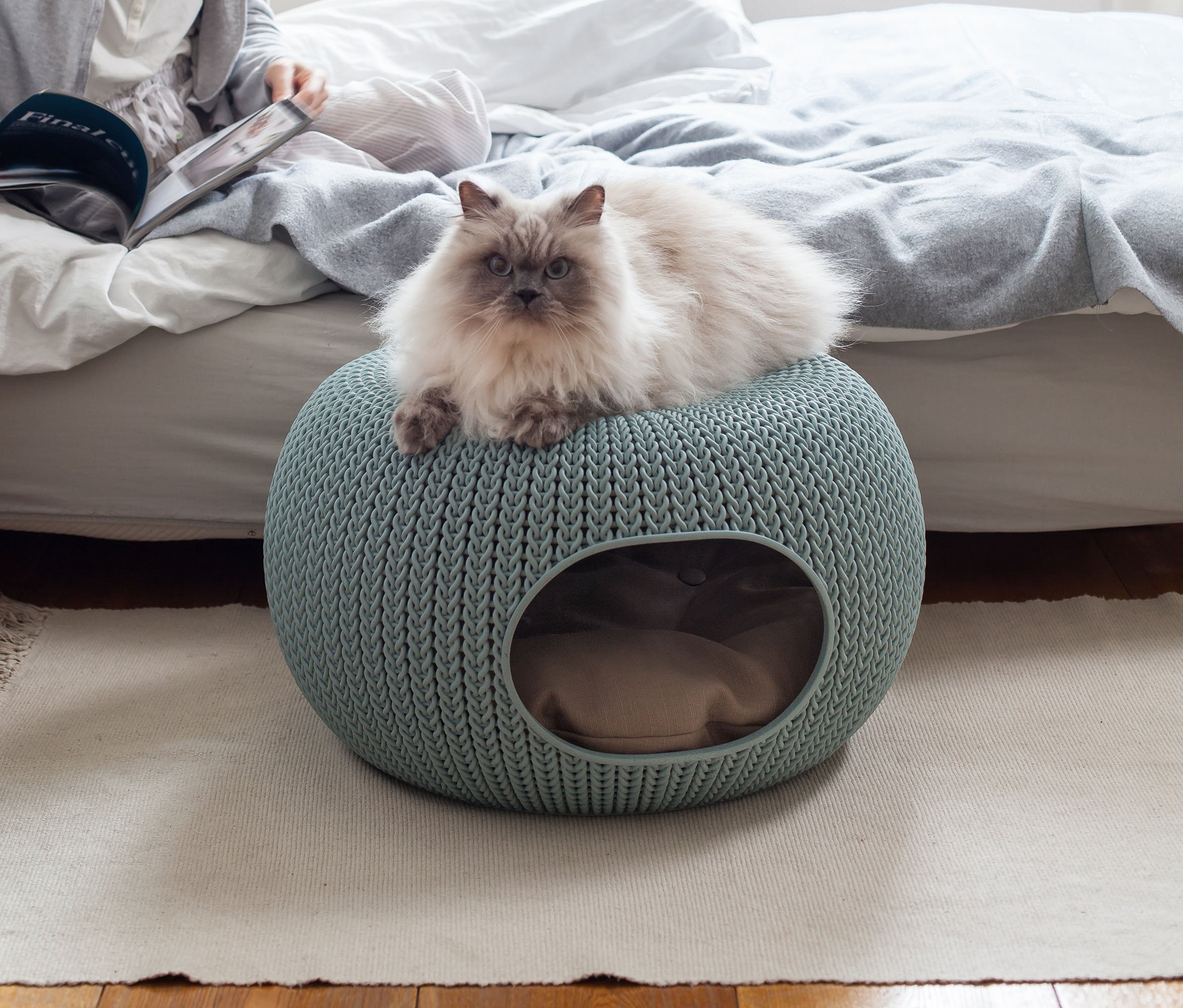 keter cat bed
