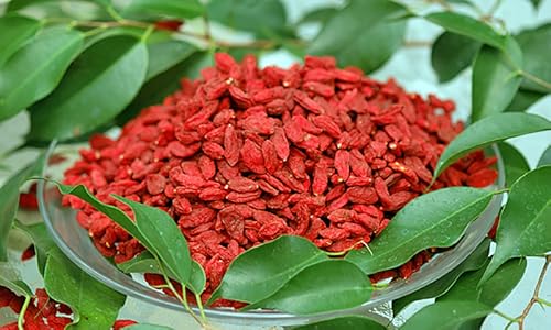 Superfoods : Discover The Best Foods That Will Give You Competitive Health Advantage
