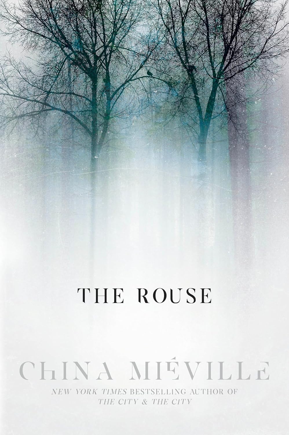 The Rouse      Hardcover – September 15, 2026
