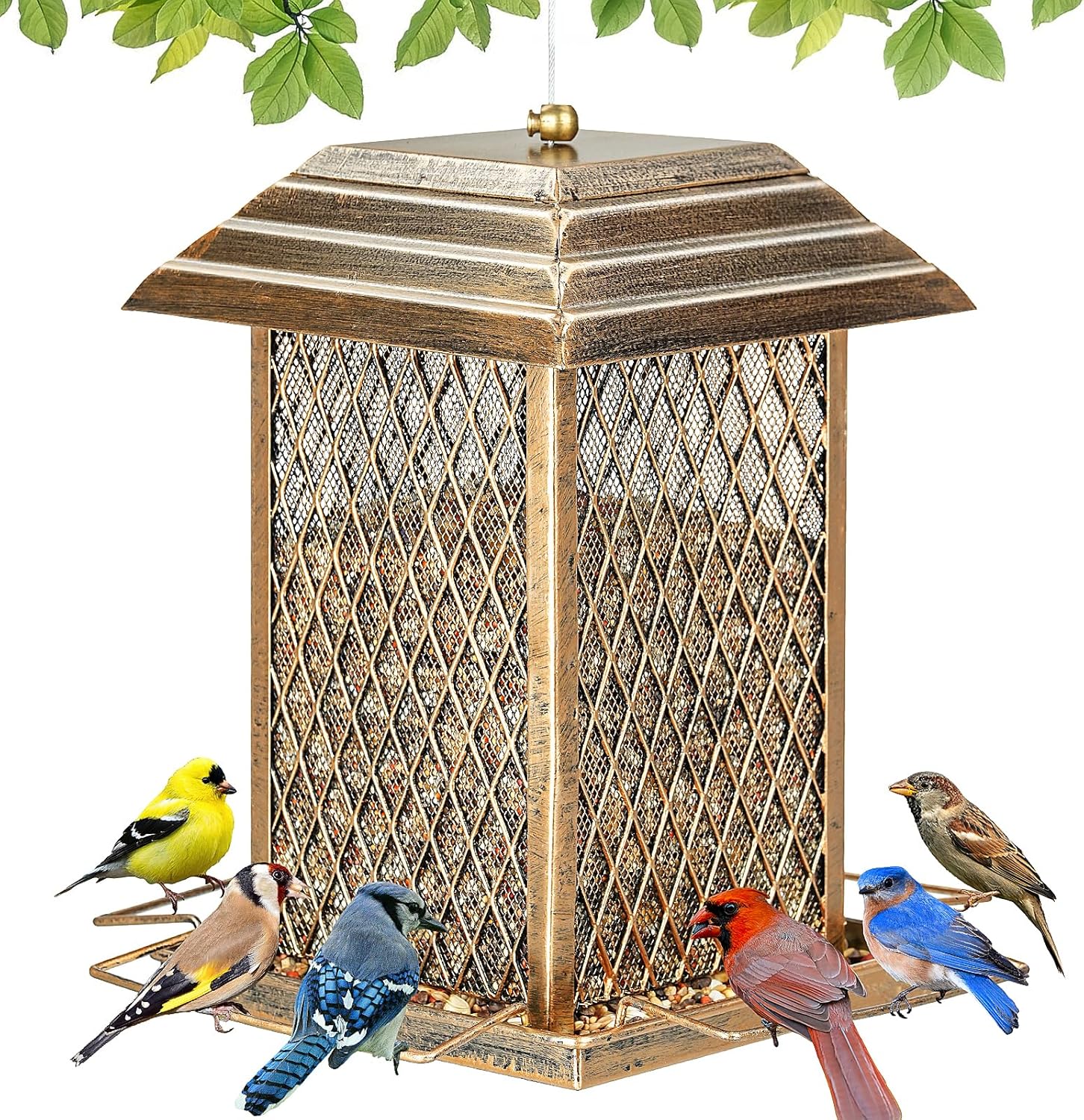 Bird Feeder, Heavy Duty Metal Bird Feeders for Outdoor Hanging, Extra Large Capacity Wild Birdfeeder Lantern Shape Hold 6 LB Seed, Easy to Fill