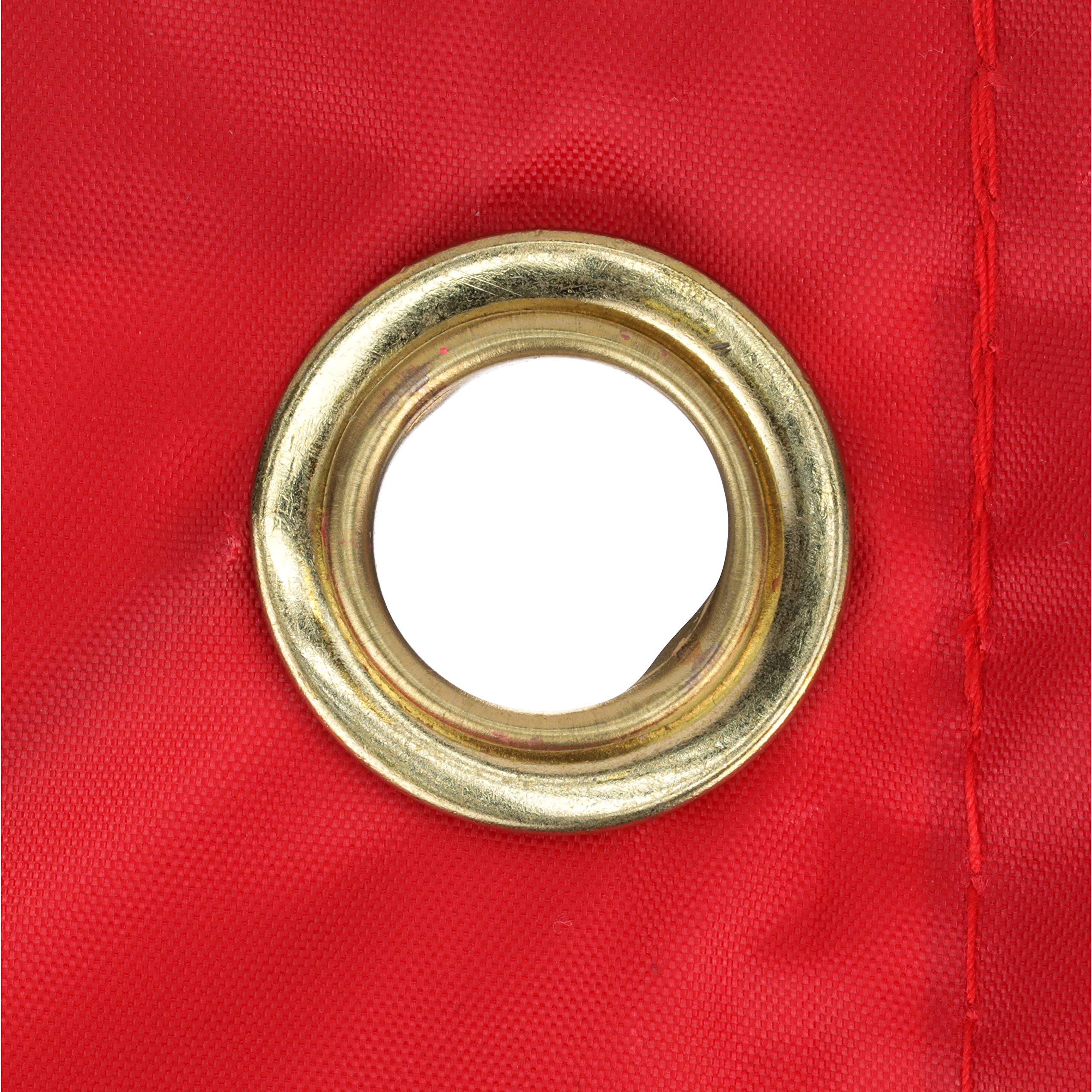 Amazon.com : Seachoice Vinyl Diver Down Flag, Removable Stiffener