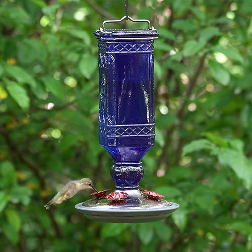 Miniatura 9 de Perky-Pet 8117-2 Botella antigua azul de cobalto para alimentar colibríes 16onzas
