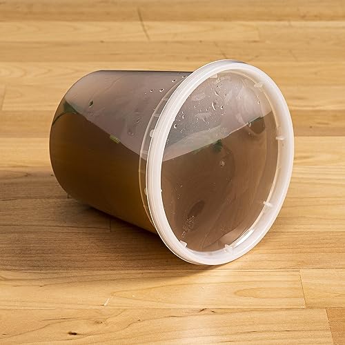 Miniatura 8 de TIYA - Contenedores de comida para llevar, 16 onzas, paquete de 240 unidades con tapas, recipientes de plástico para almacenamiento de alimentos,