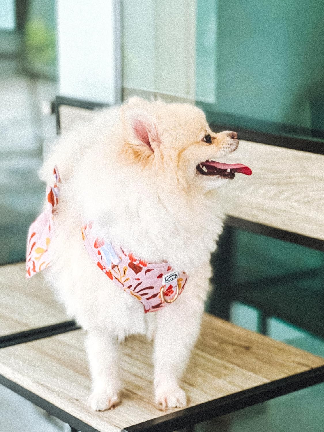 Summer Lurving Adjustable Harness for Dogs and Cats (L)