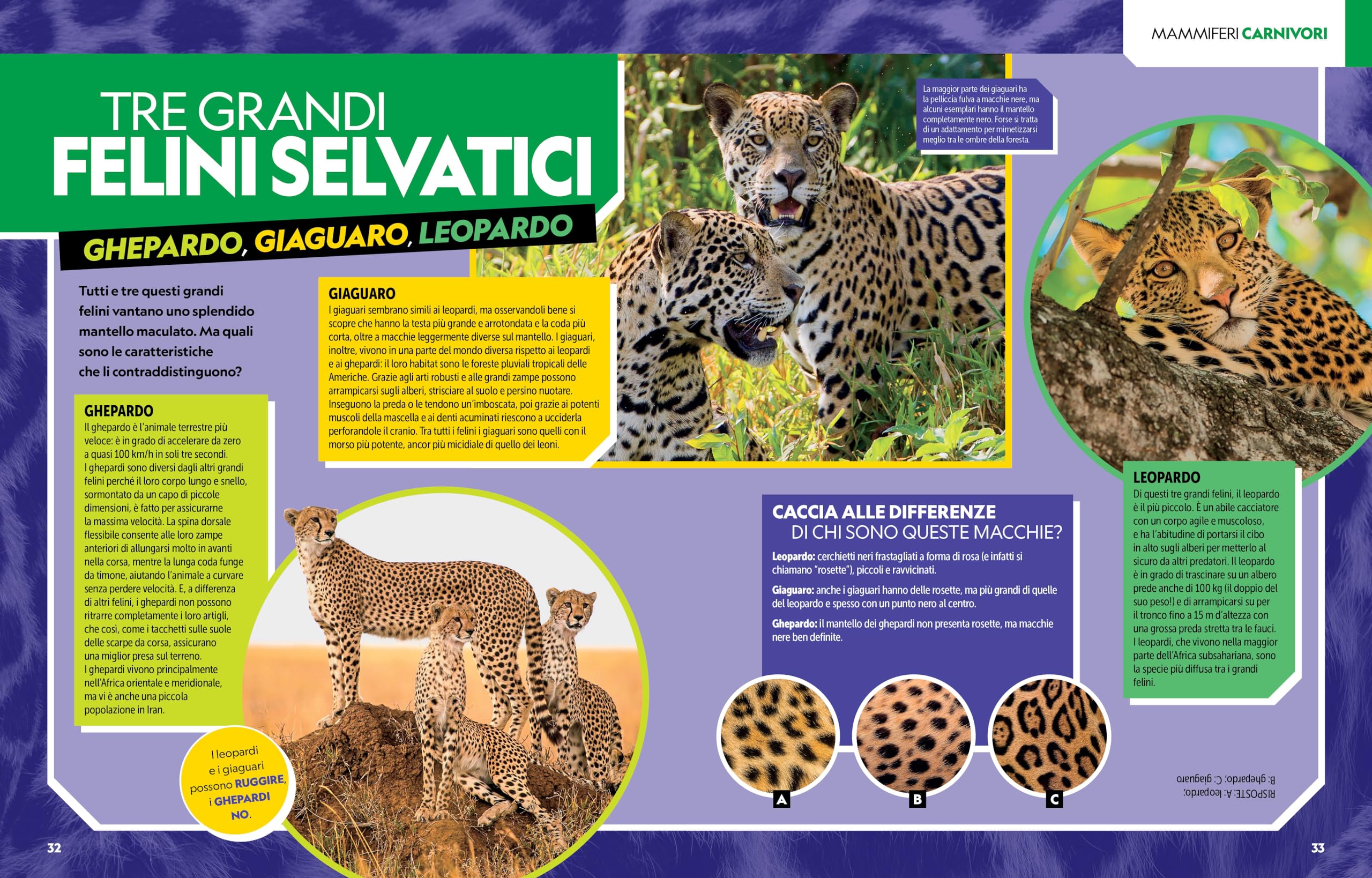 La grande enciclopedia dei mammiferi. Il più completo manuale sui mammiferi mai realizzato. Ediz. a colori