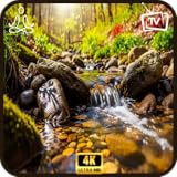 流れる山の川 - 4K 水の