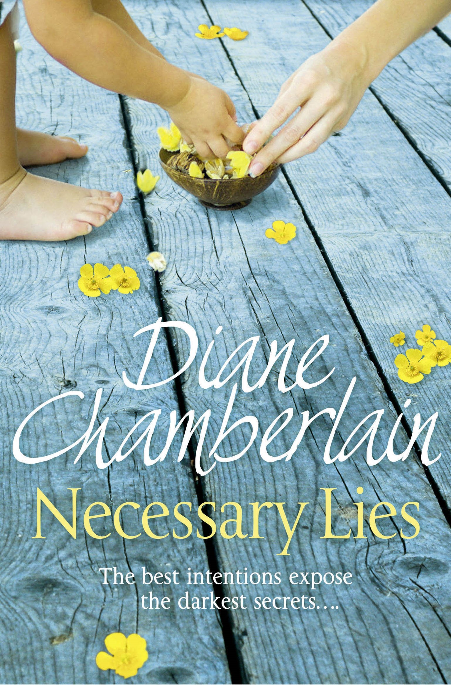 Necessary Lies by Diane Chamberlain PAPERBACK 9781447211259