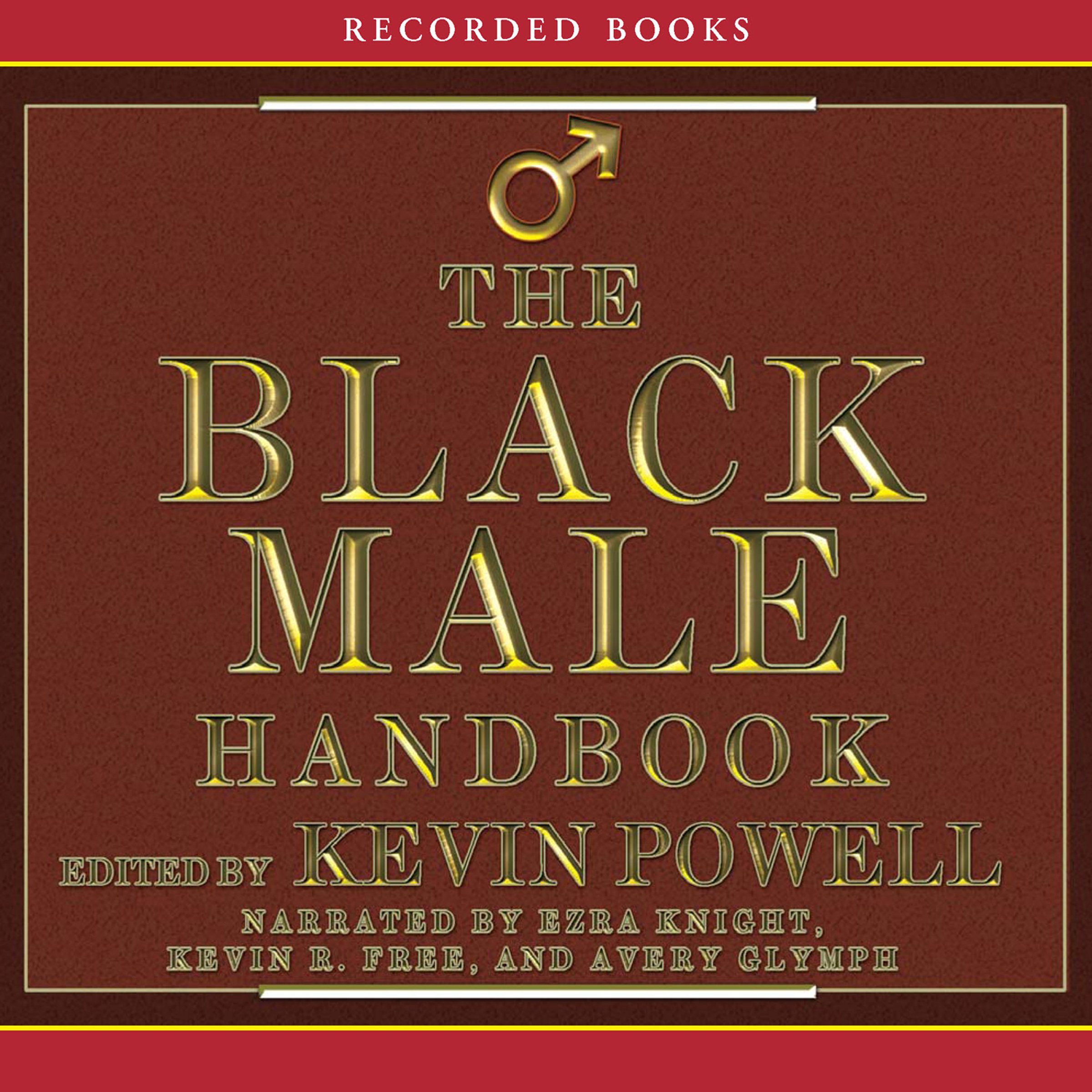 Cover art for The Black Male Handbook