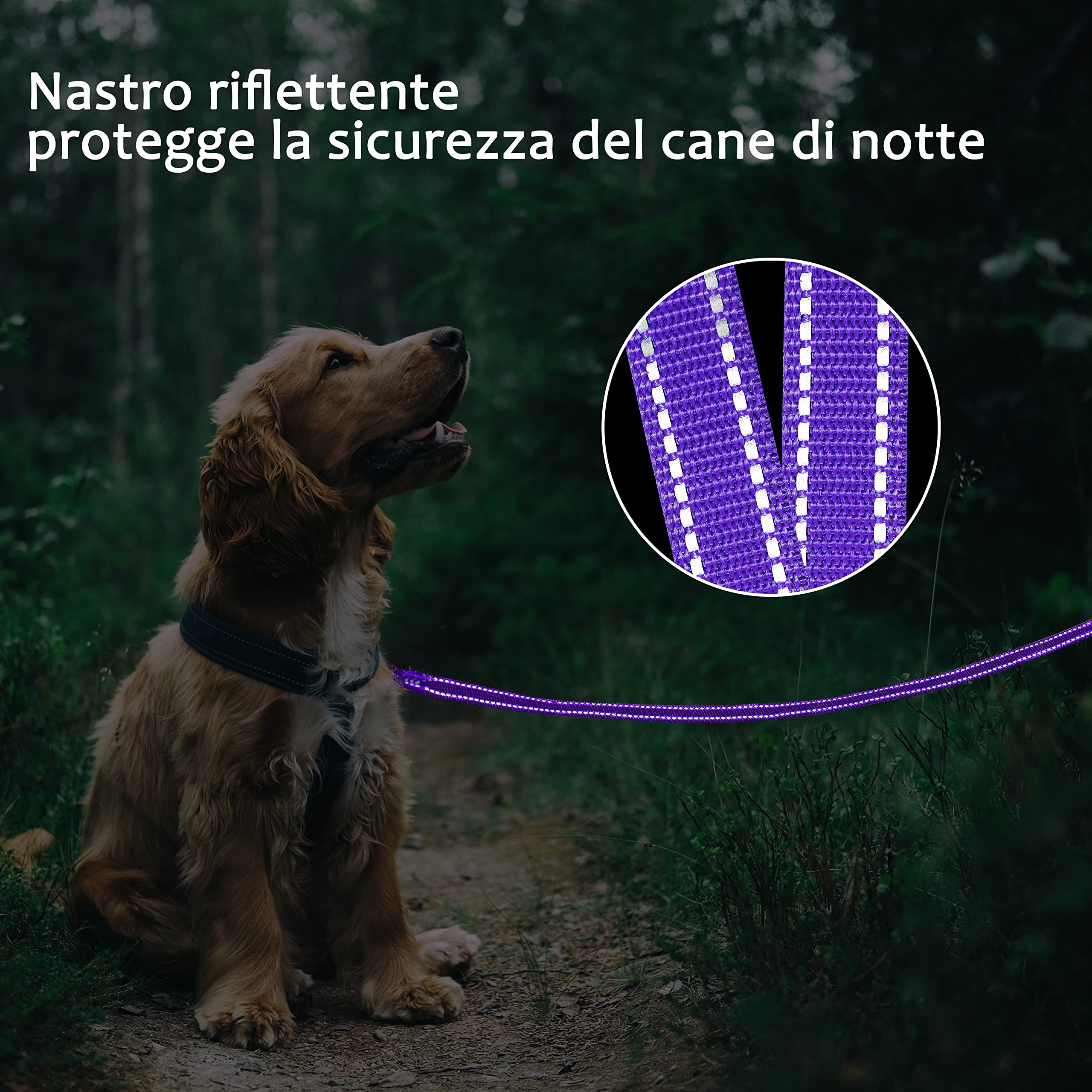 COMSLE Guinzaglio Addestramento per Cani, Lunghina per Cane Cani 3 metri / 5 metri / 10 metri / 15metri / 20metri con Gancio Robusto e Manico Imbotita, Guinzaglio per Cani Piccola e Taglia Grande