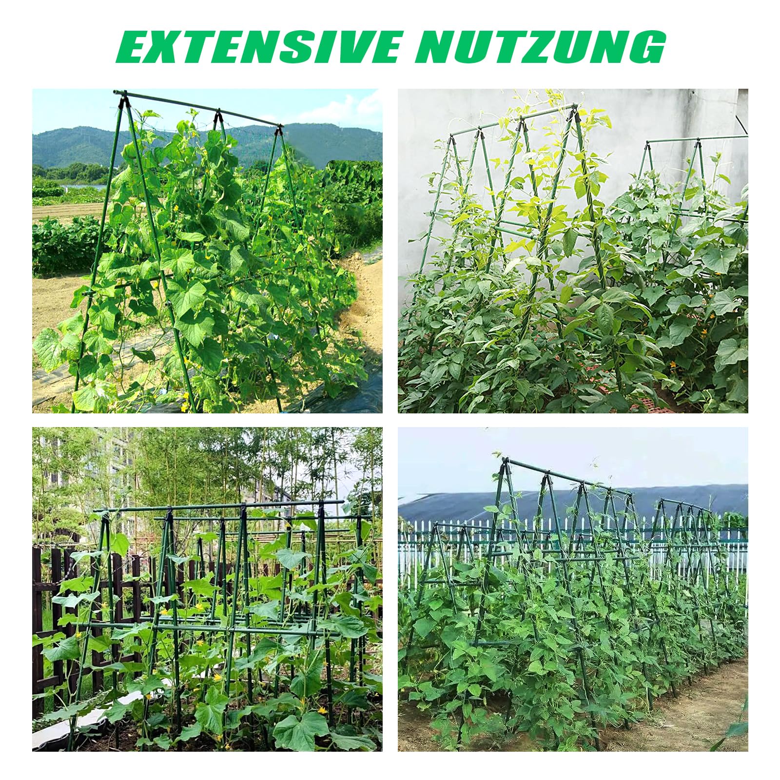 SUNYRISY Gurke Rankhilfe, Rankgitter mit Netz Pflanzenhalter für Gurke, Rankhilfen für Kletterpflanzen, Tomaten Rankhilfe, Pflanzenstütze für Blumen & Nutzpflanzen, 150 cm Lang, Grün