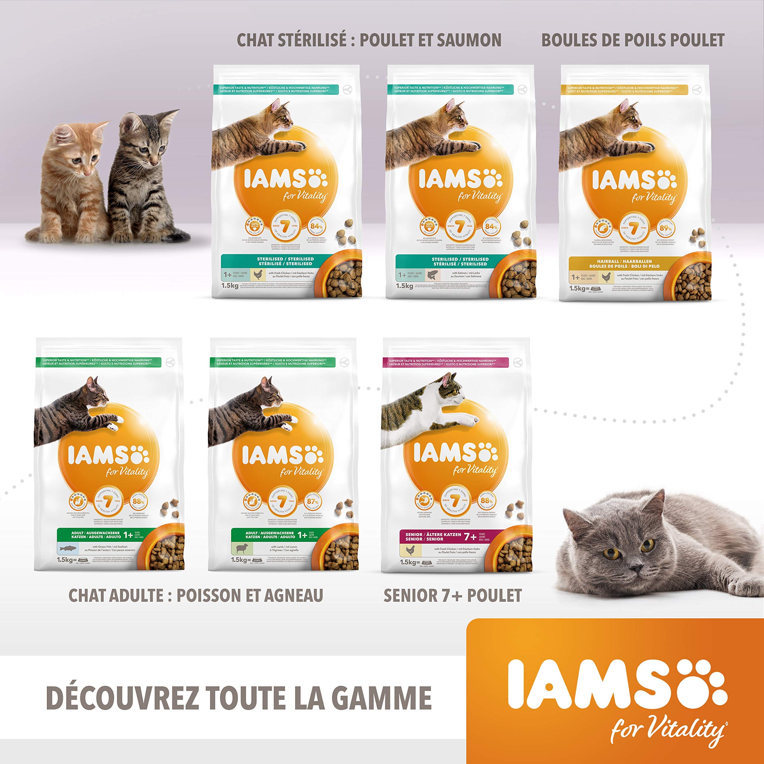IAMS Junior sucha karma dla kotów z kurczakiem – sucha karma dla kociąt w wieku 1-12 miesięcy, 1,5 kg | Junior sucha karma dla kotów | dla młodych kotów | z wysokiej jakości białkami zwierzęcymi