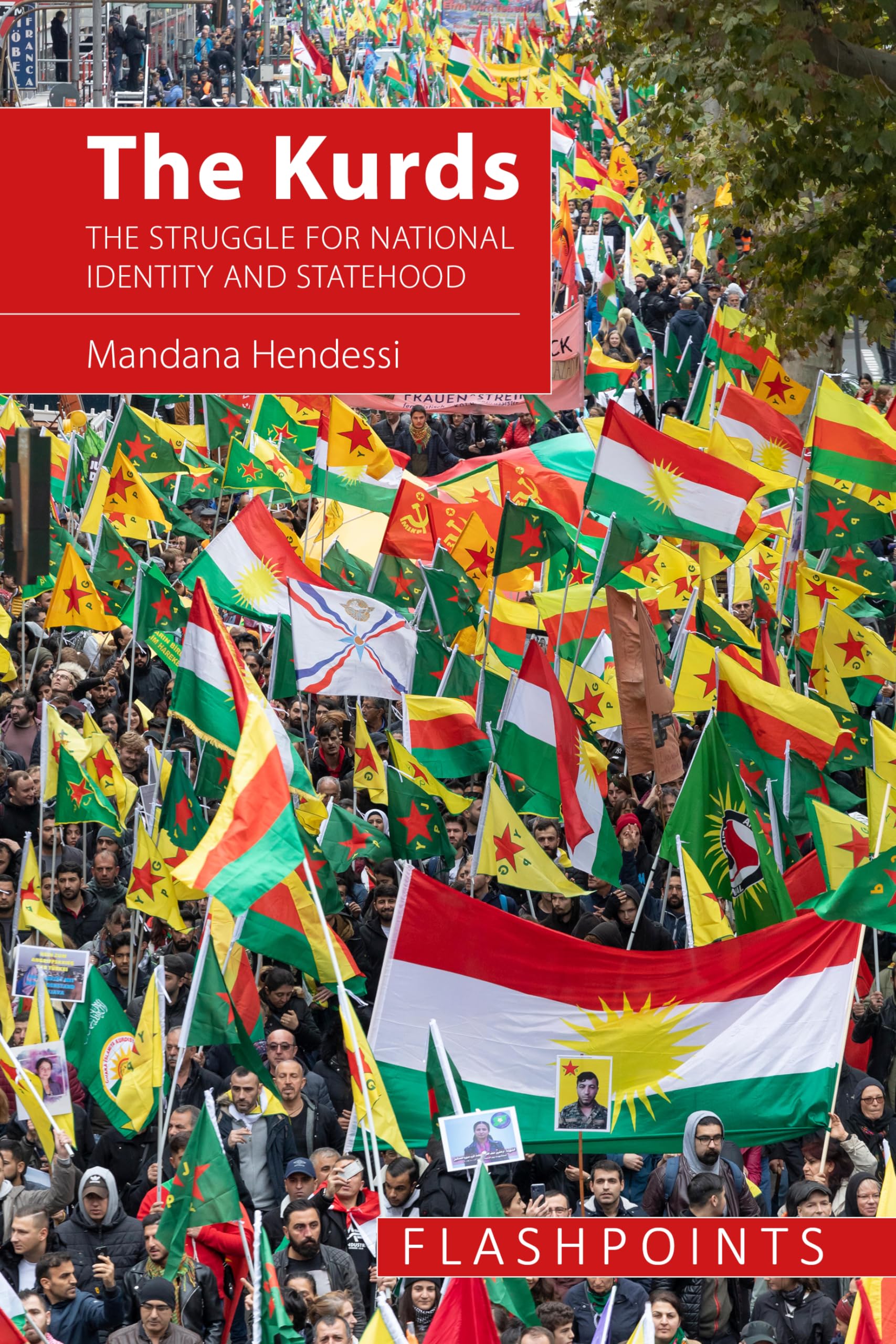 The Kurds: The Struggle for National Identity and Statehood (Flashpoints)