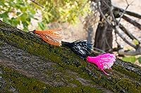 Vista 5 de TOUGH-GRID - Cuerda paracaídas de 340 kg, cuerda paracaídas 100% nailon Mil-Spec tipo IV utilizada por el ejército de Estados Unidos, ideal