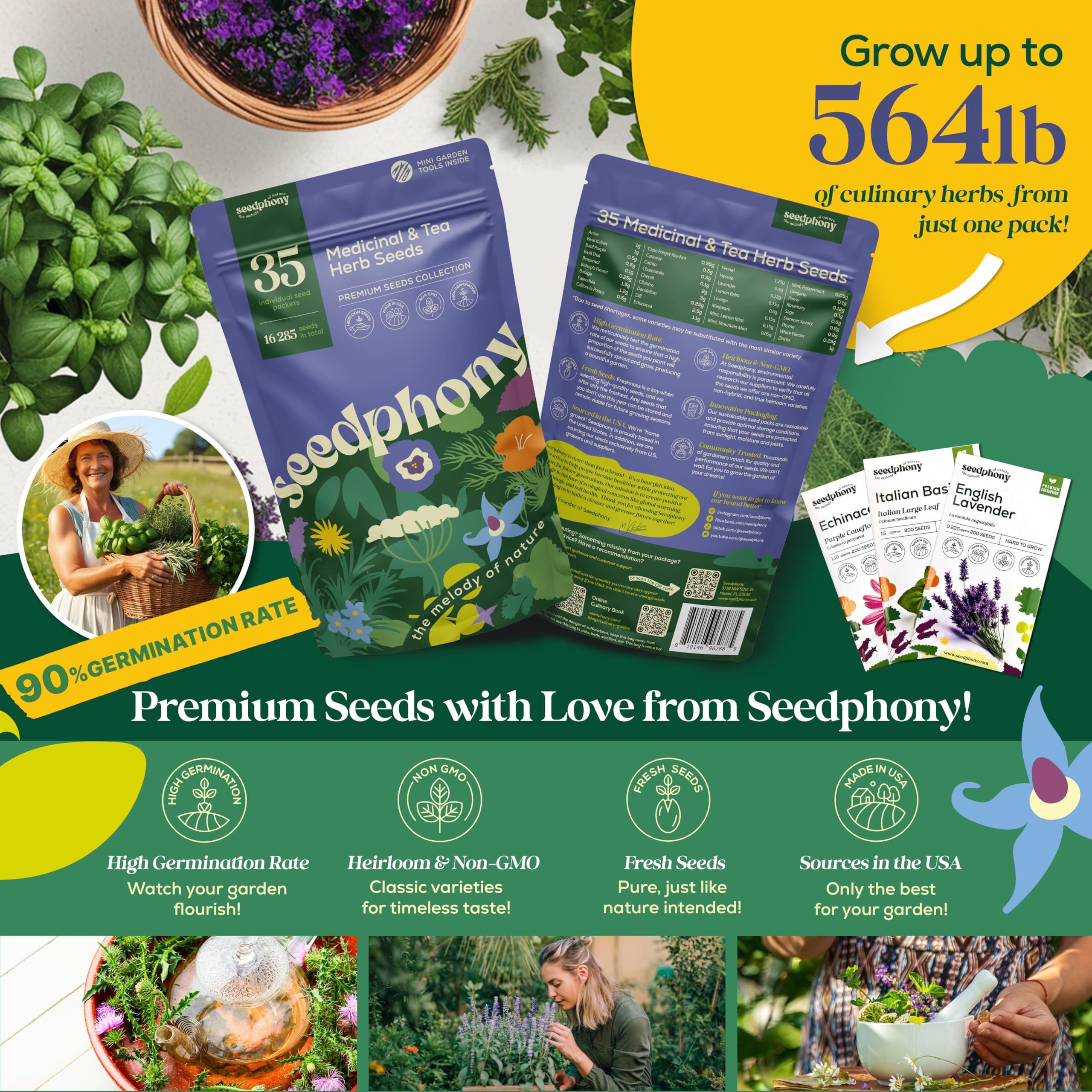 100 Semillas De Cúrcuma Para Plantar – Hierba Medicinal Para Jardín, Balcón O Interior
