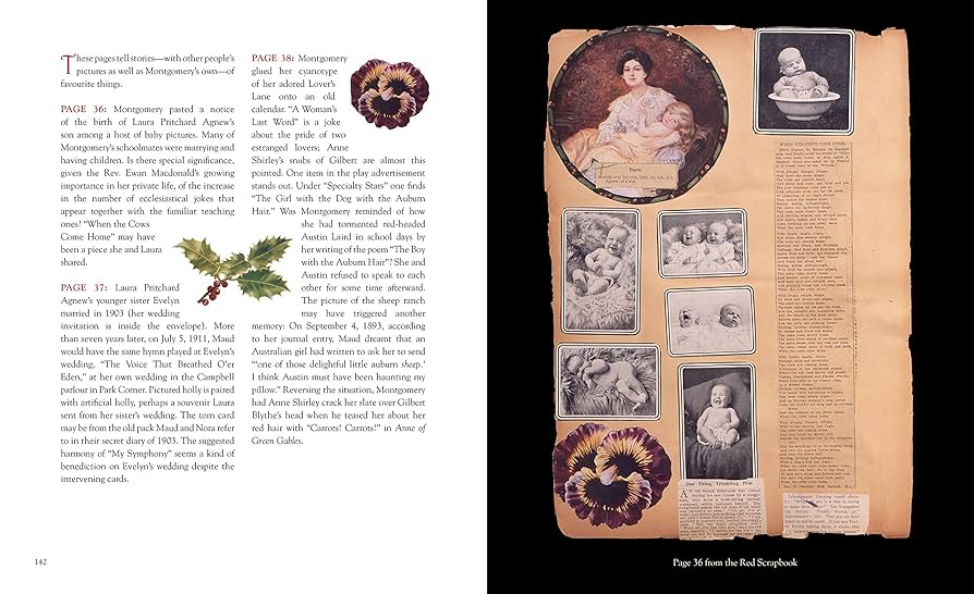 洋書 Imagining Anne 洋書 Imagining Anne Imagining Anne