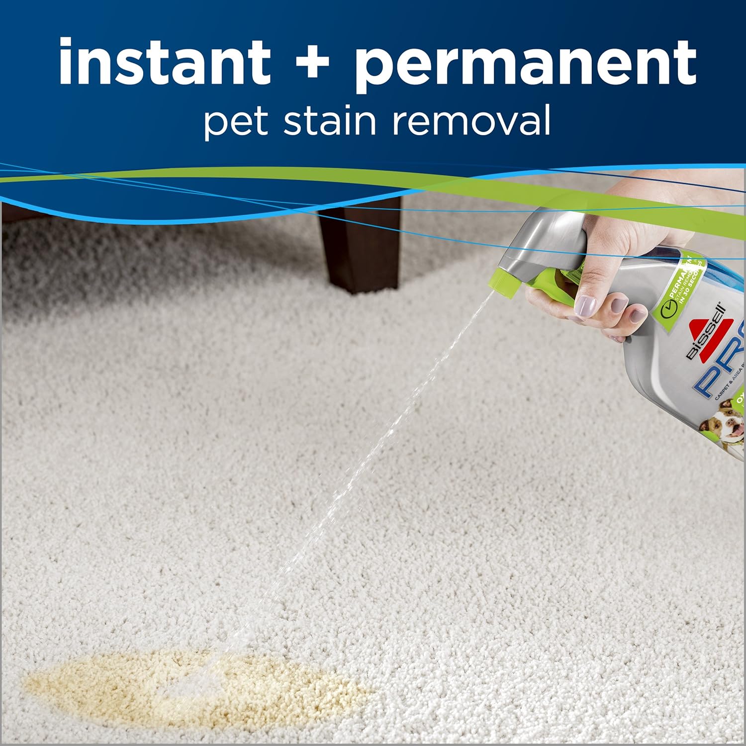 bissell destroyer pet plus