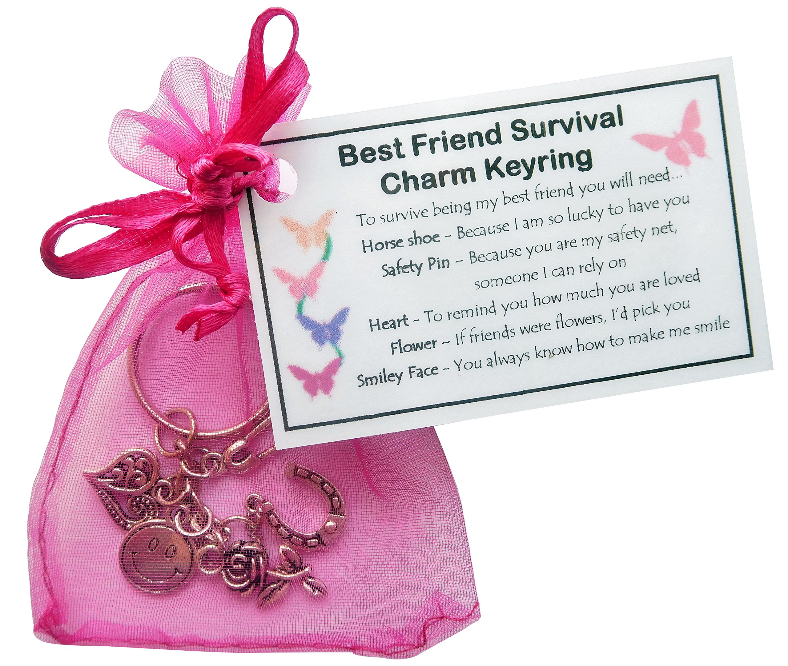 SMILE GIFTS UK Friendship/Best Friend Survival Charm KEYRING - Handmade Friend Gift for Friend