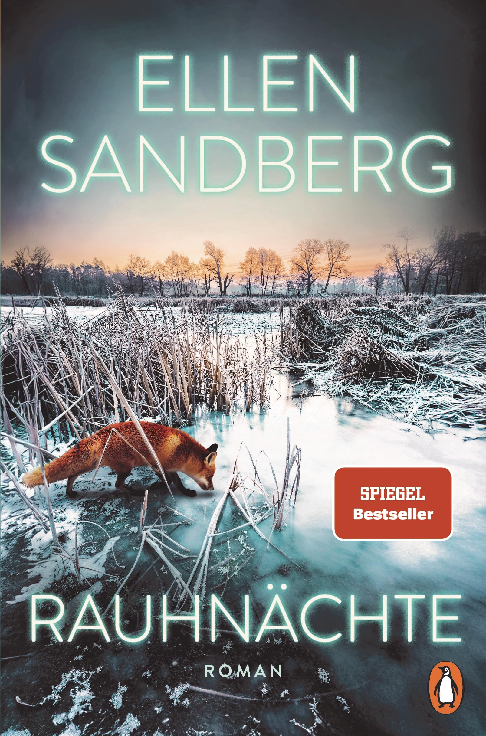 Rauhnächte: Roman - Atmosphärische Spannung von der SPIEGEL-Bestsellerautorin