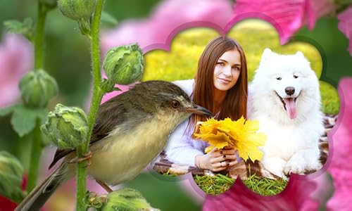 Animal Photo Frames