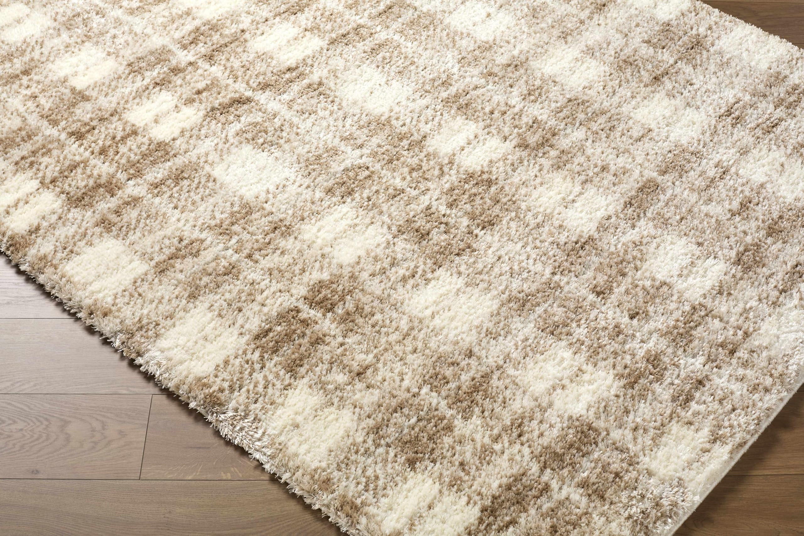 Anfisa Bohemian, Transitional Area Rug - Cream, Tan, Peach - 5'3" x 7'