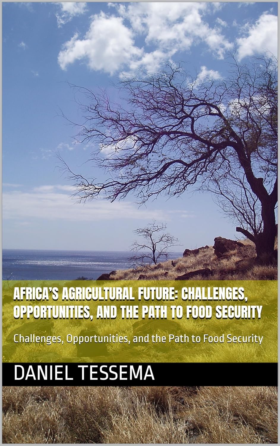Africa’s Agricultural Future: Challenges, Opportunities, and the Path to Food Security : Challenges, Opportunities, and the Path to Food Security