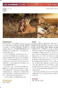 新・臨床家のためのホメオパシーマテリアメディカ 下巻 | 森井 啓二