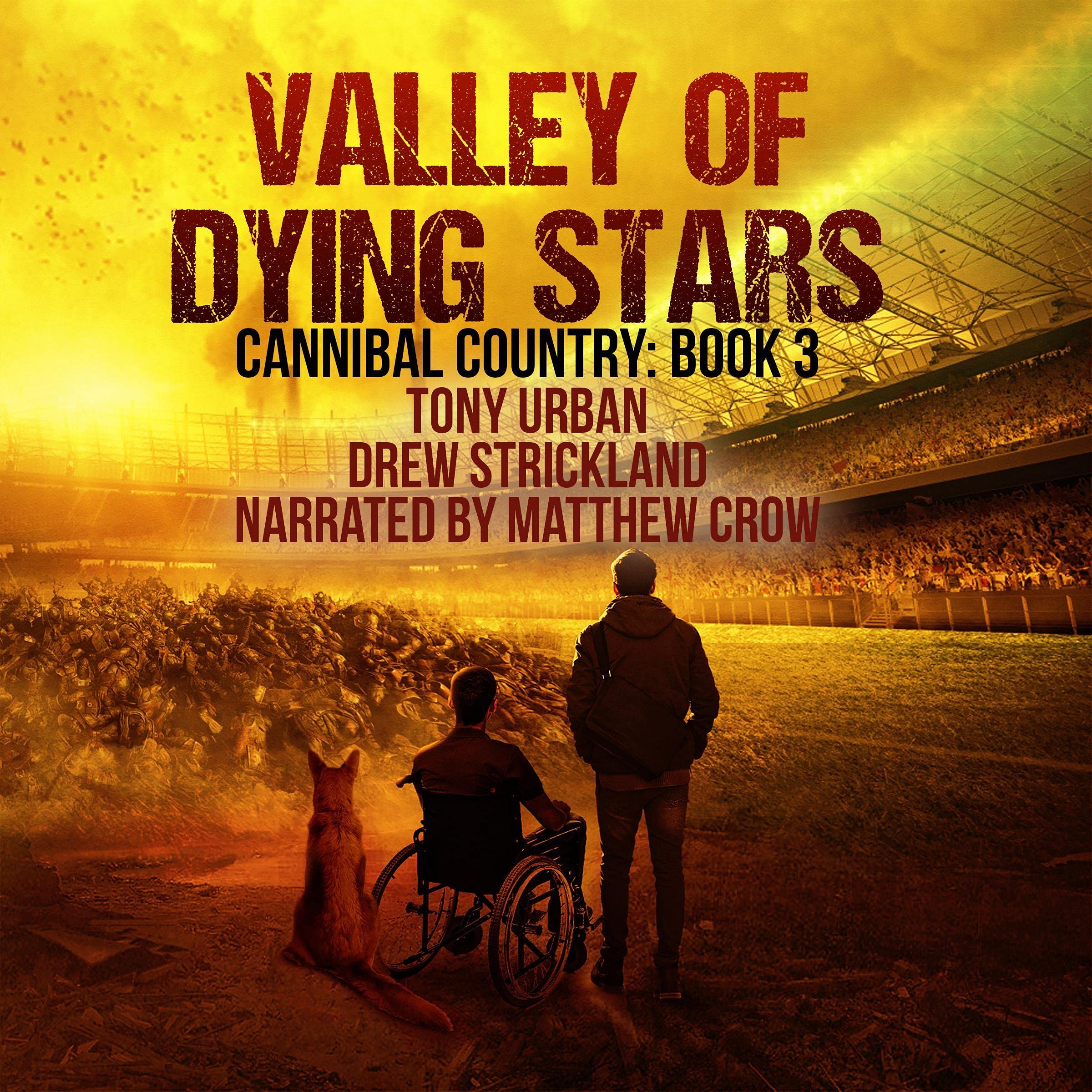 Cover art for Valley of Dying Stars