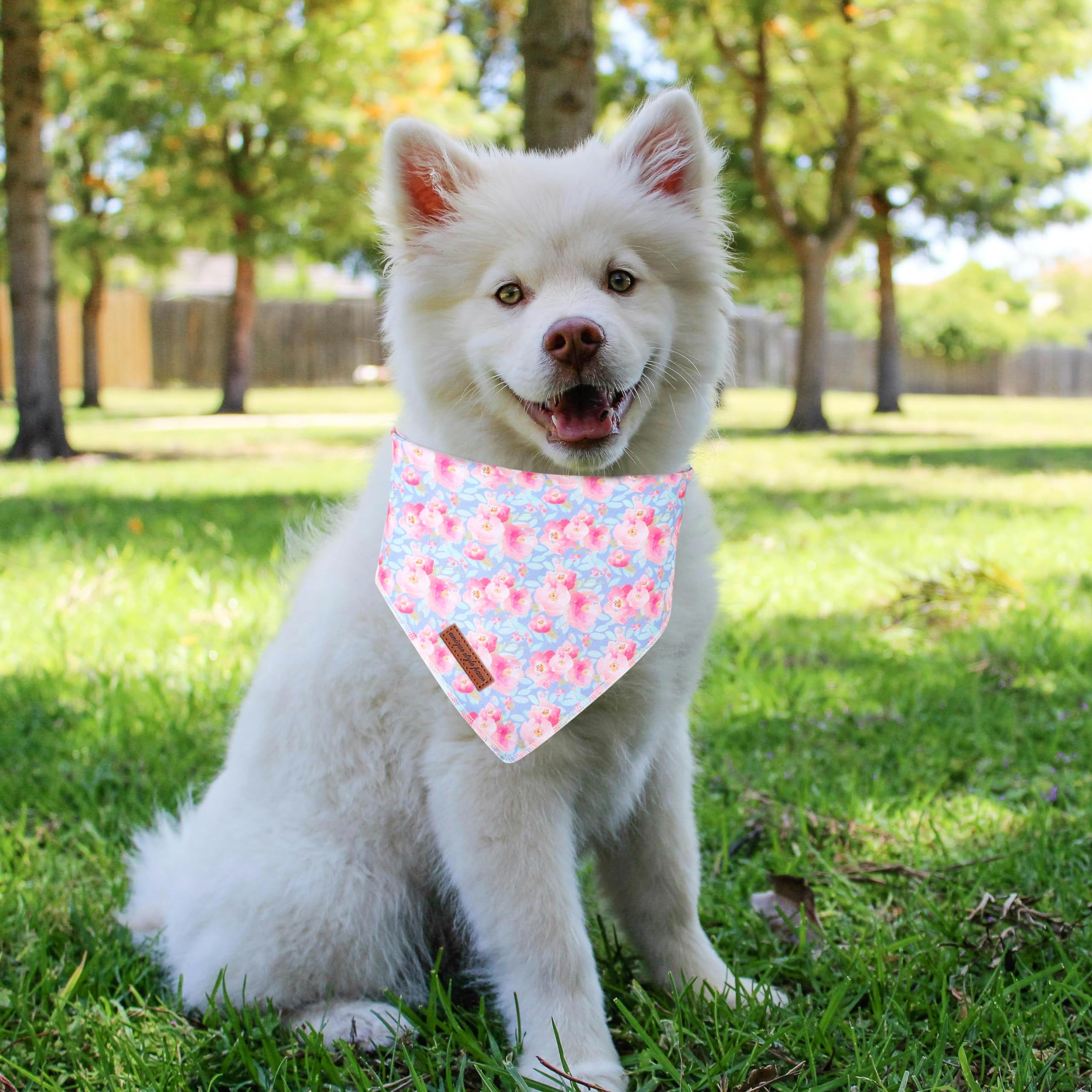 Unique style paws Summer Pink Flower Dog Bandanas Pet Scarf for Boy and Girl Premium Durable Fabric Colorful Blue Flowers Dog Kerchief for Medium and Large Dogs L - Image 4