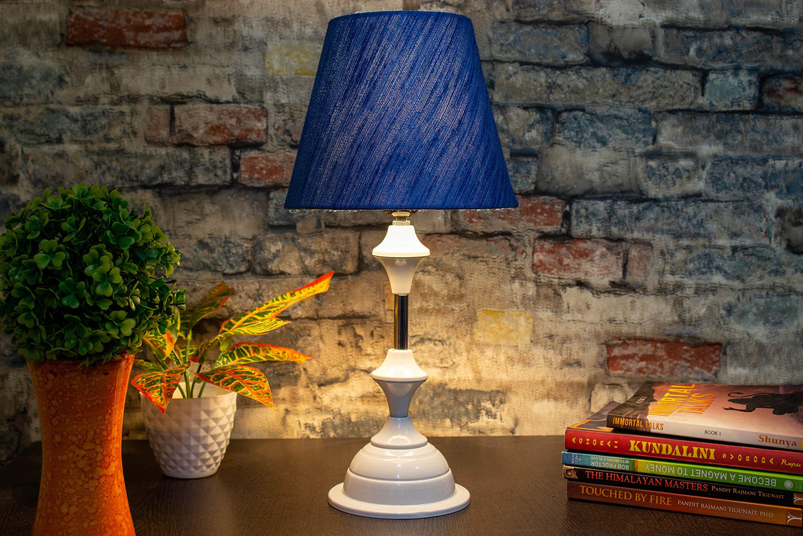 Aswal Handicraft Bedside Table Lamp for Bedroom 8inch Fabric Blue Silk Shade Side Table Lamp for Living Room White Metal Base Table Lamps for Home Decoration Without Night Bulb (B09FC9FTVR) Amazon Price History, Amazon Price Tracker