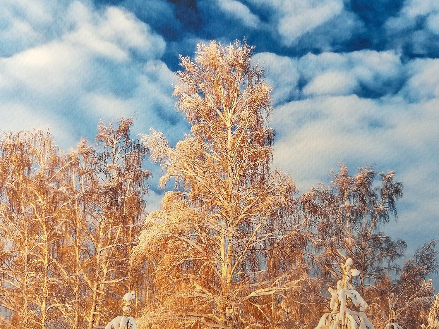 11" X 14" Cold Press Watercolor Fine Art Inkjet Paper - 50 Sheets