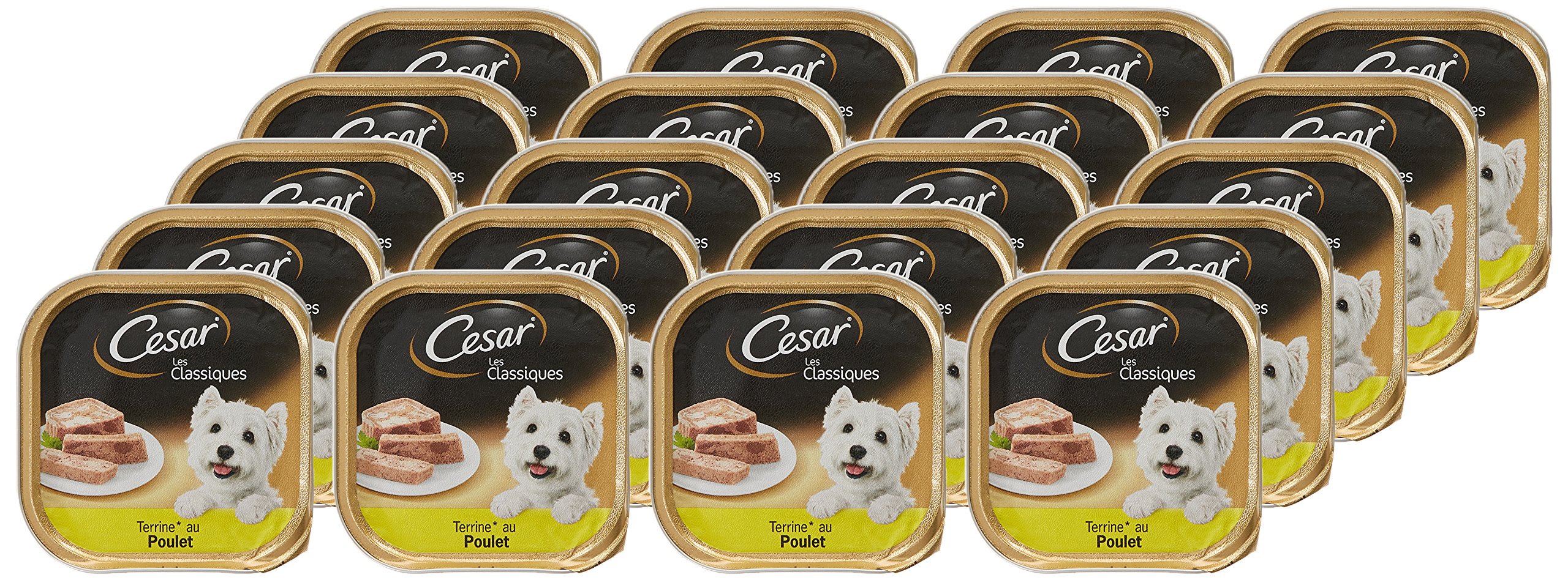 CESAR Hundefutter – 20 Schalen à 300 g – Nassfutter für Hunde, Klassische Terrine mit schmackhaftem Huhn und Leber – Nassfutter für Hunde