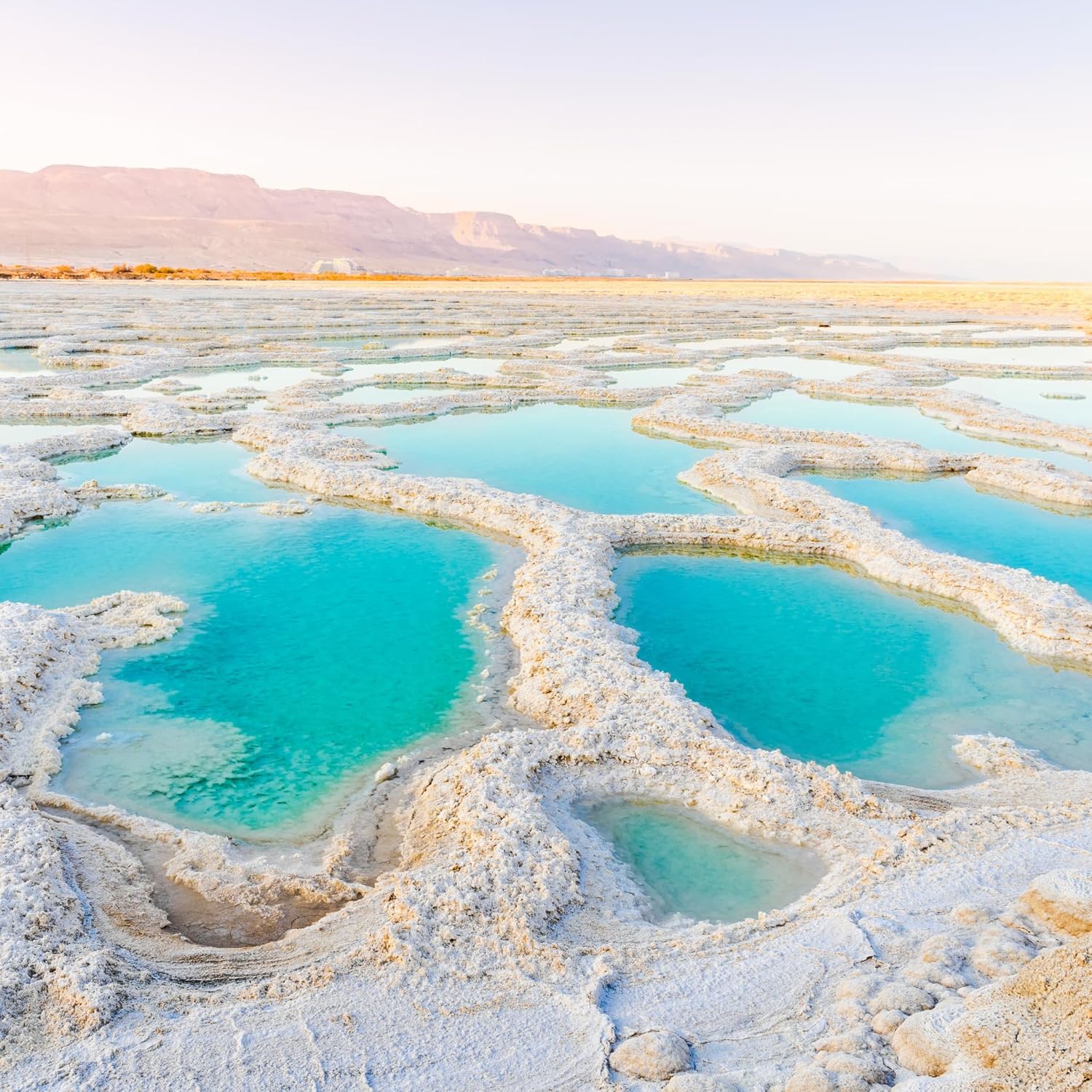 LA Salt Co.'s 100% Pure and Natural Dead Sea Salt Bulk 55 lb Bag, Fine Grain - Image 7