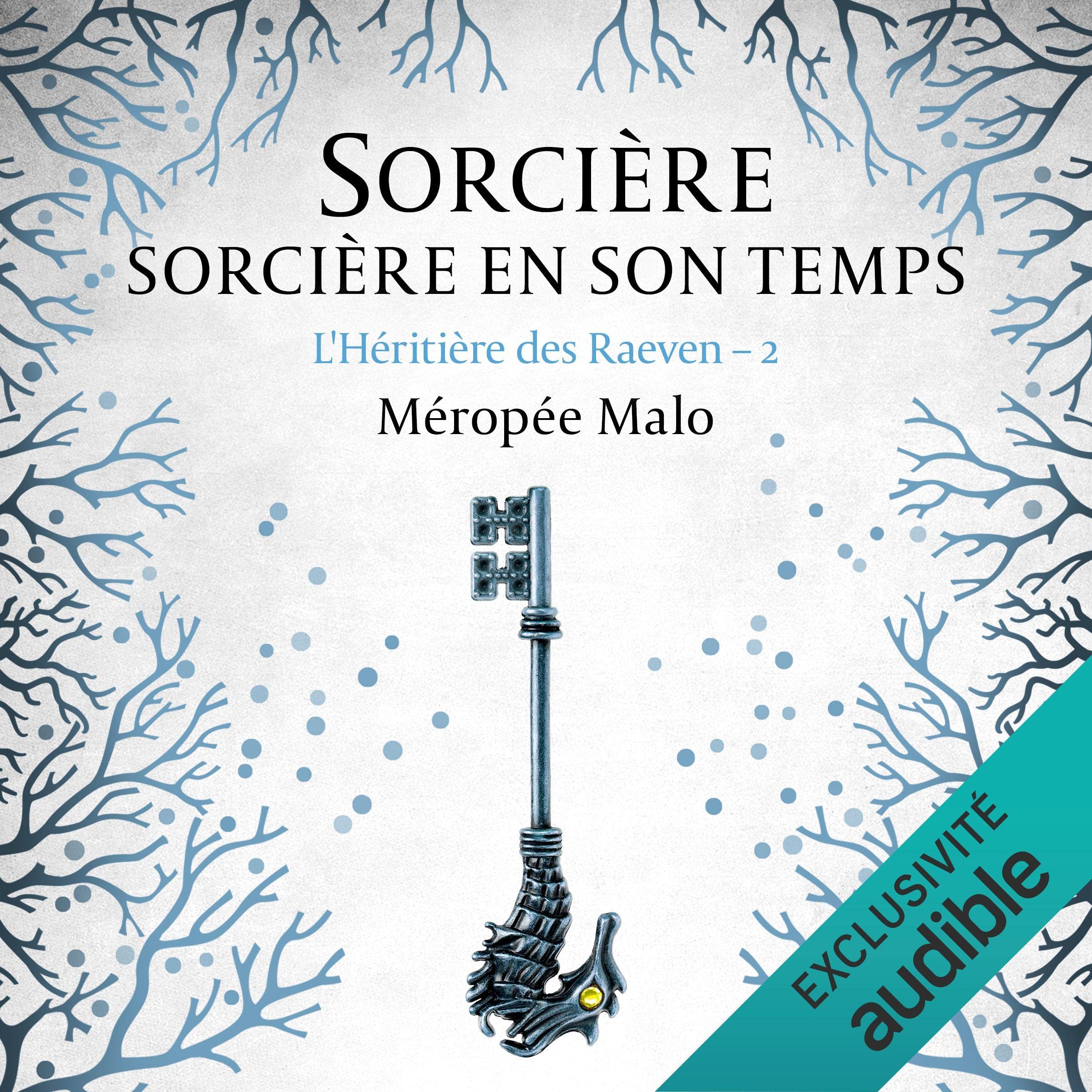 Cover art for Sorcière en son temps