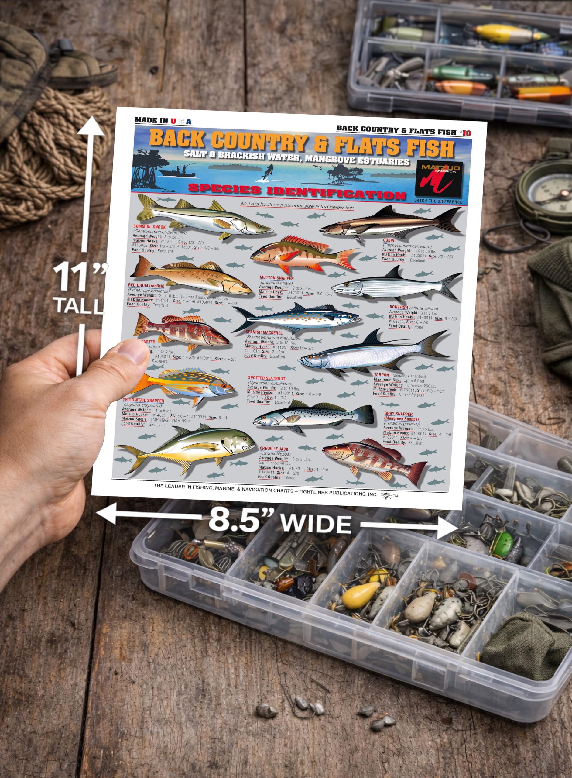 Backcountry & Flats Fish Identification Chart #10 (Salt & Brackish Water and Mangrove Estuaries) - Waterproof Quick Reference Guide | Portable & Built to Last