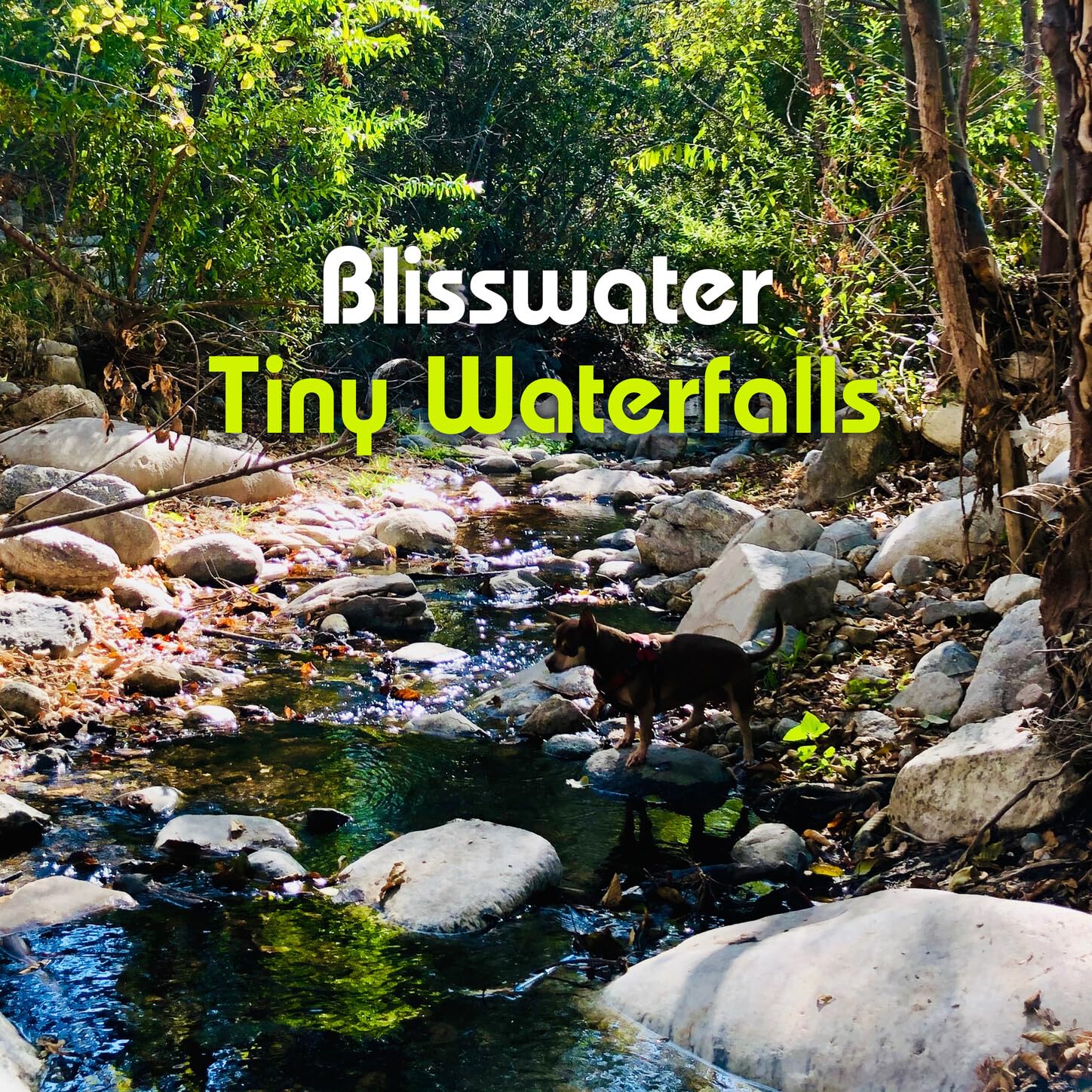 Blisswater
