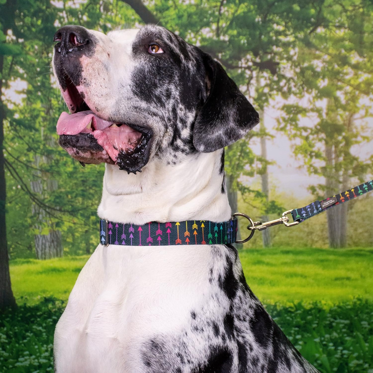 Country Brook Petz - Premium Colorful Arrows Gunmetal Dog Collar and Leash - Chevron and Arrows Collection Featuring Linear Designs (1 Inch, Medium)