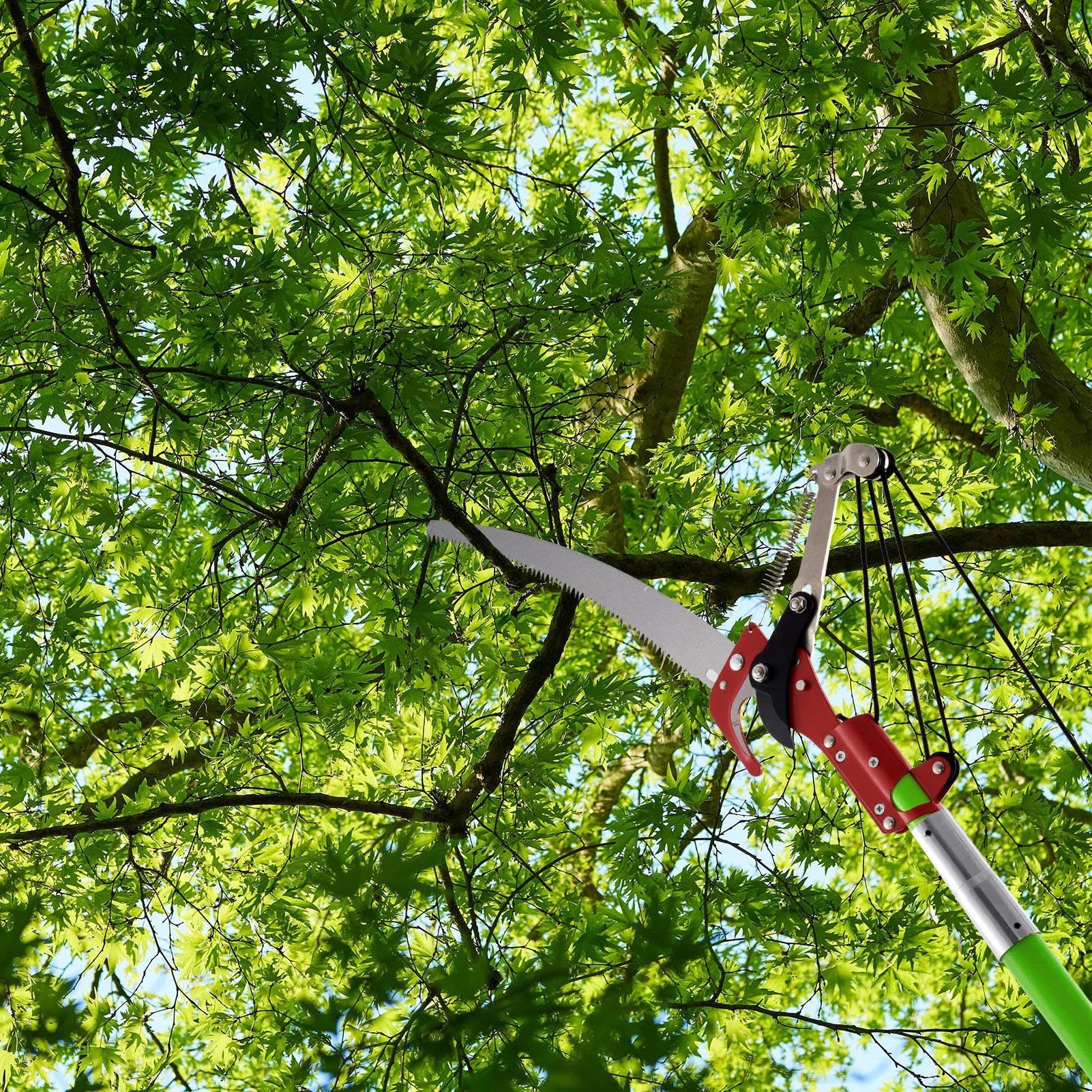 Sierra de podar telescópica de 6m: sierra de pértiga manual ajustable de 1 a 6m con 2 hojas, tijeras y bolsa. Ligera, 6 asas. Juego de herramientas de jardín para podar palmeras y arbustos